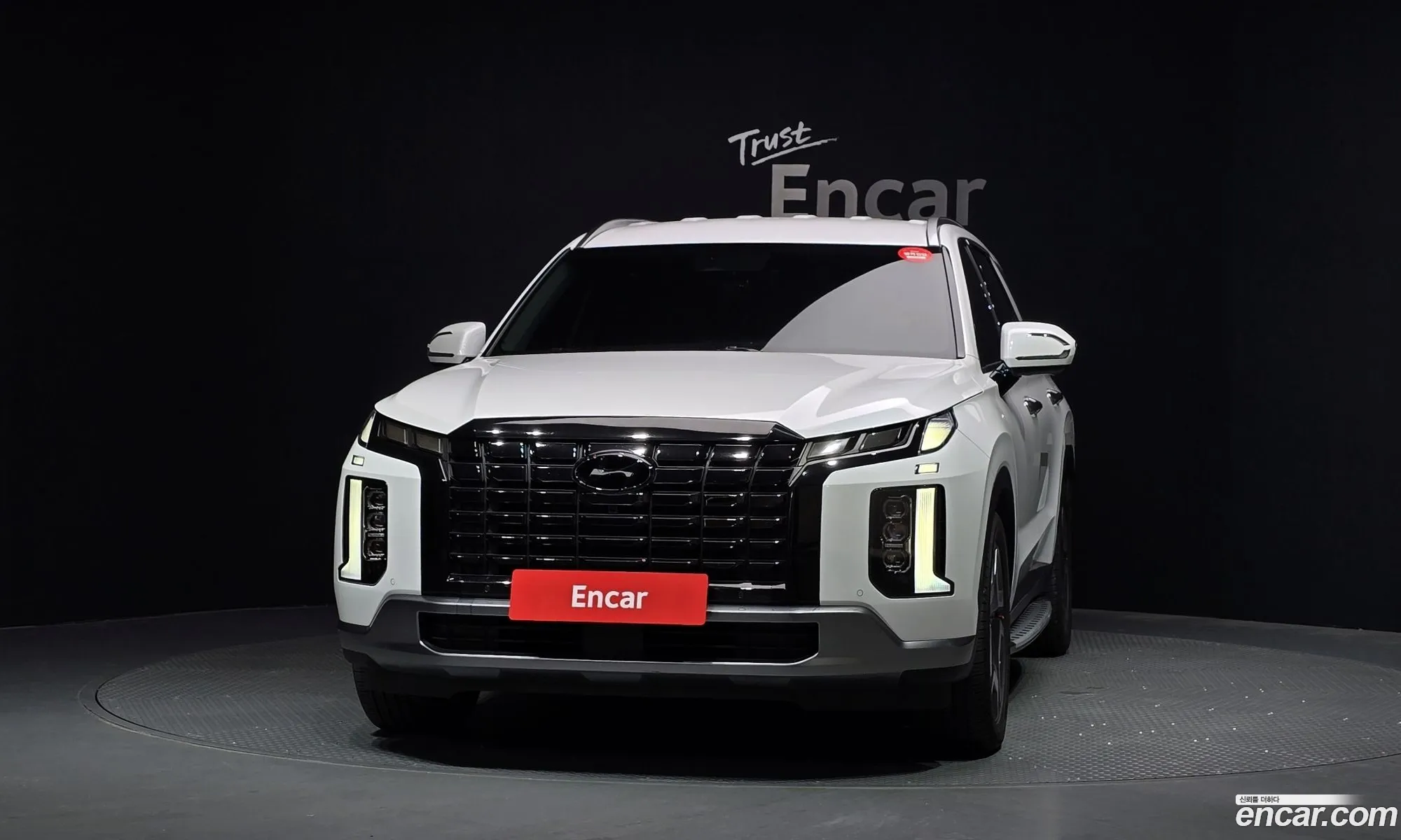 Hyundai Palisade 2023 — 17