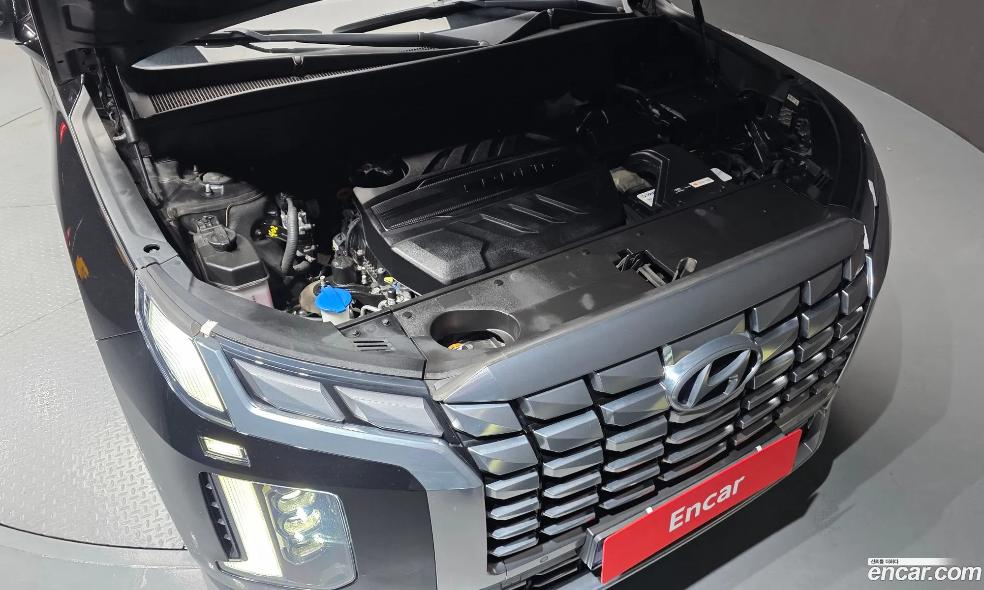 Hyundai Palisade 2022 KMHR581ABPU501028 — 12