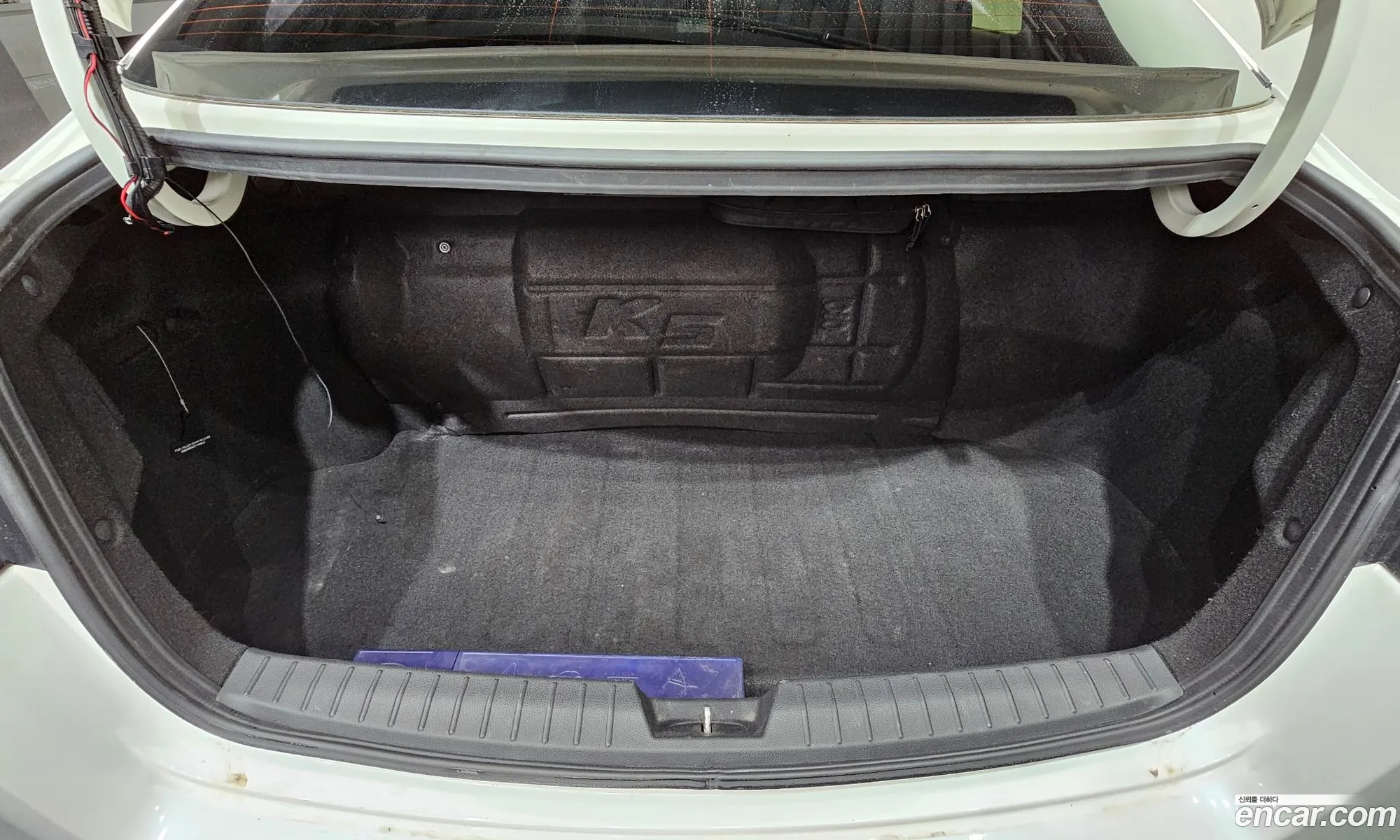 Kia K5 2012 KNAGN418BDA260456 — 19