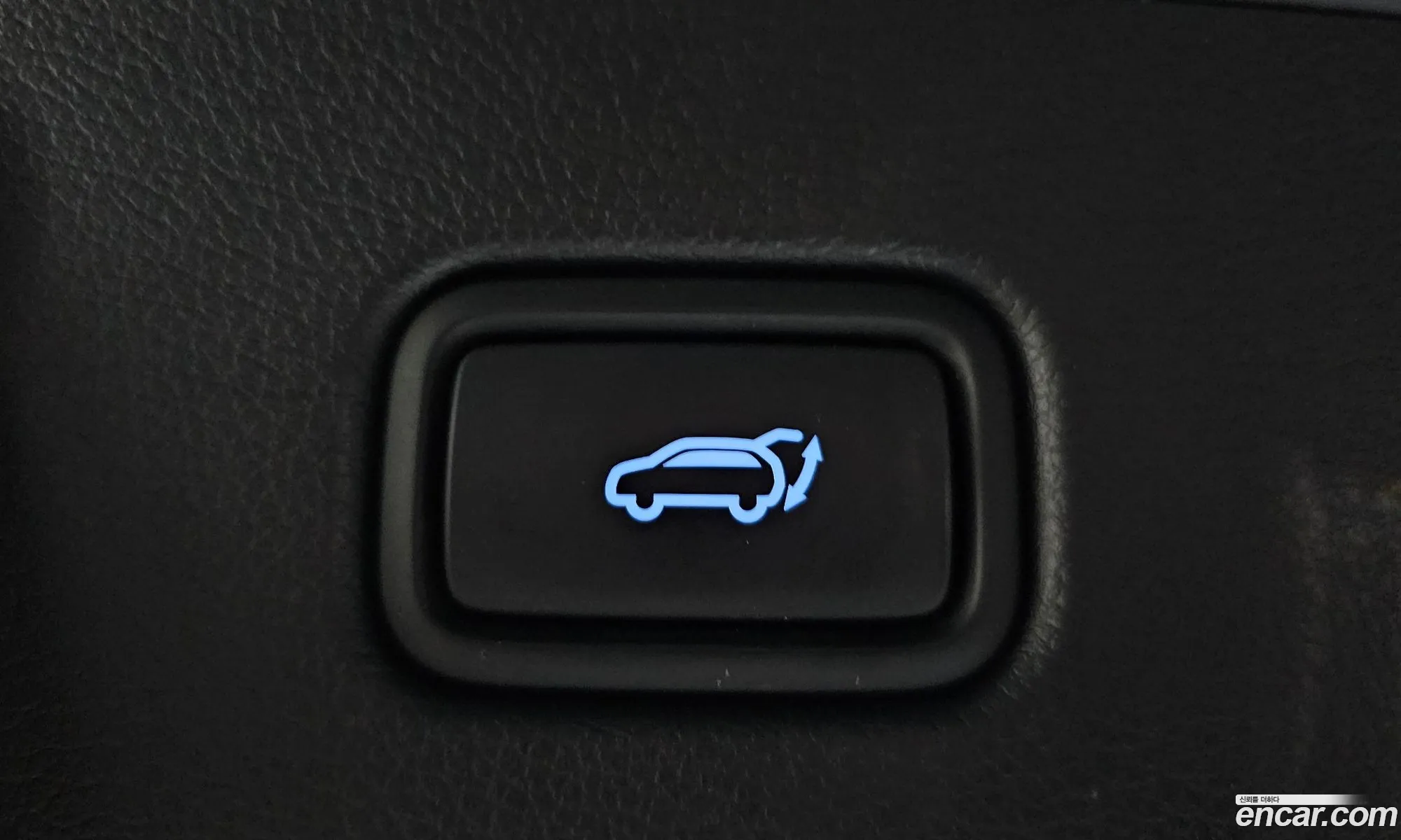 Hyundai Palisade 2023 KMHR581EDPU616062 — 24