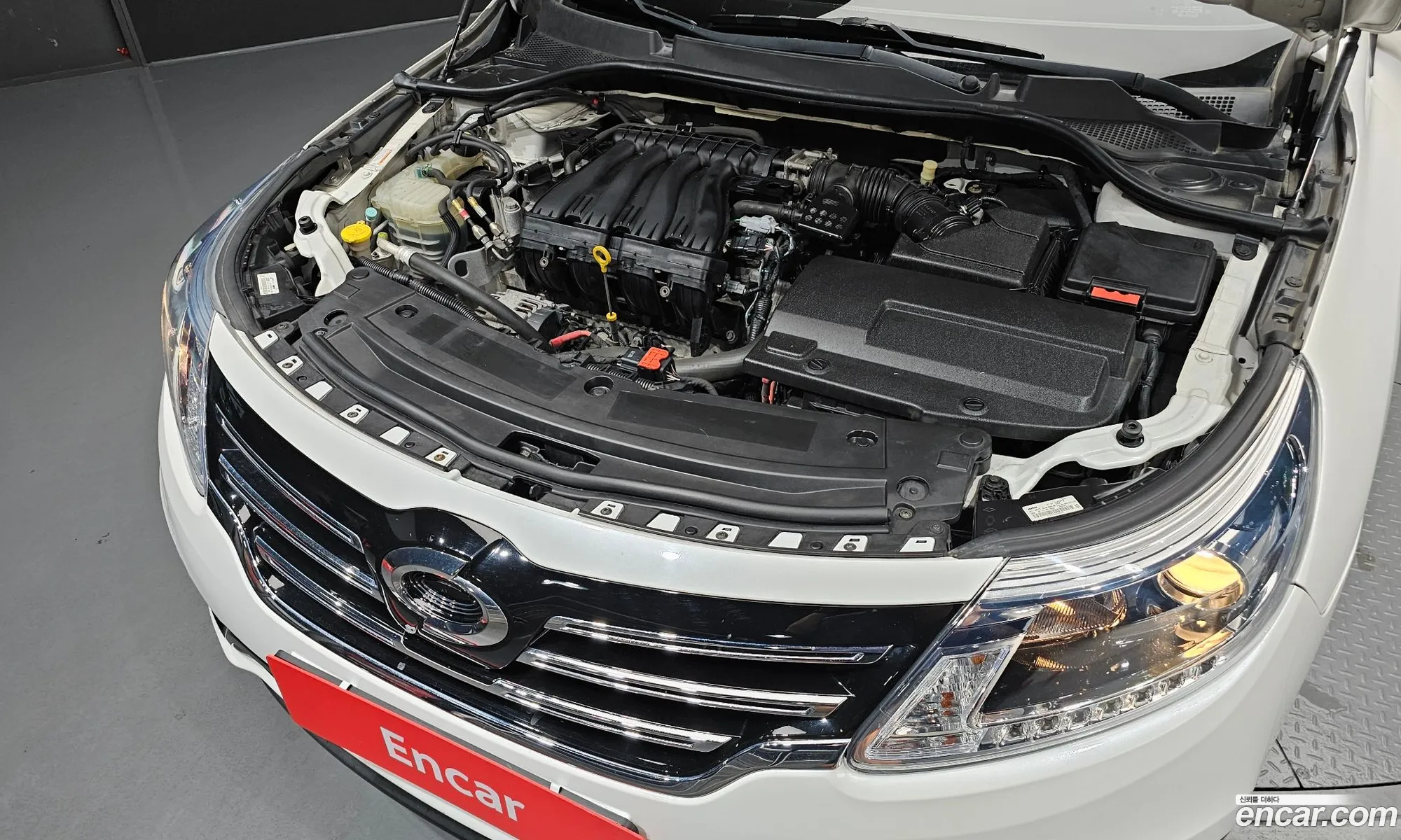 Renault Korea (Samsung) SM5 Platinum