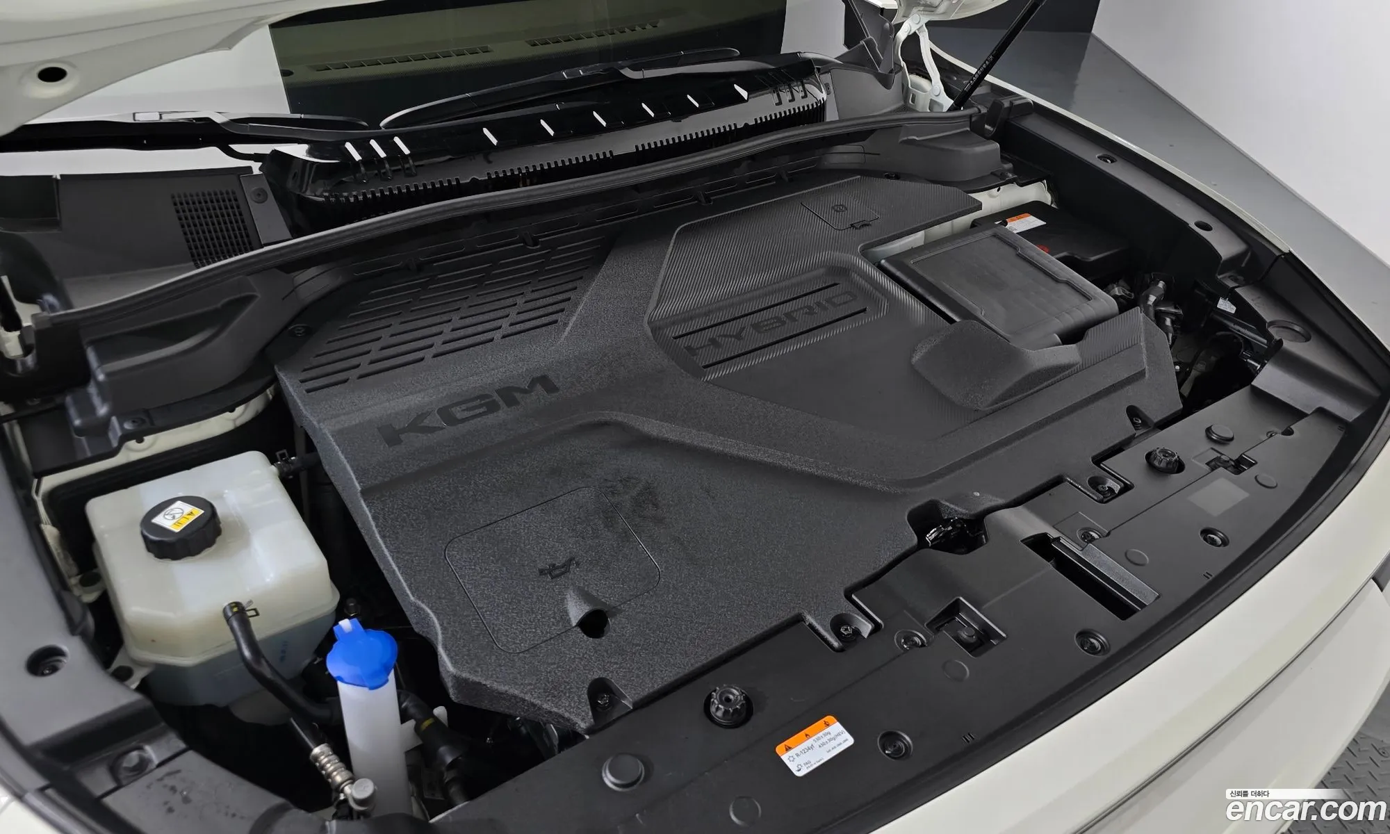 KG Mobility (SsangYong) Actyon 2025 KPBPS3D21TP120573 — 22