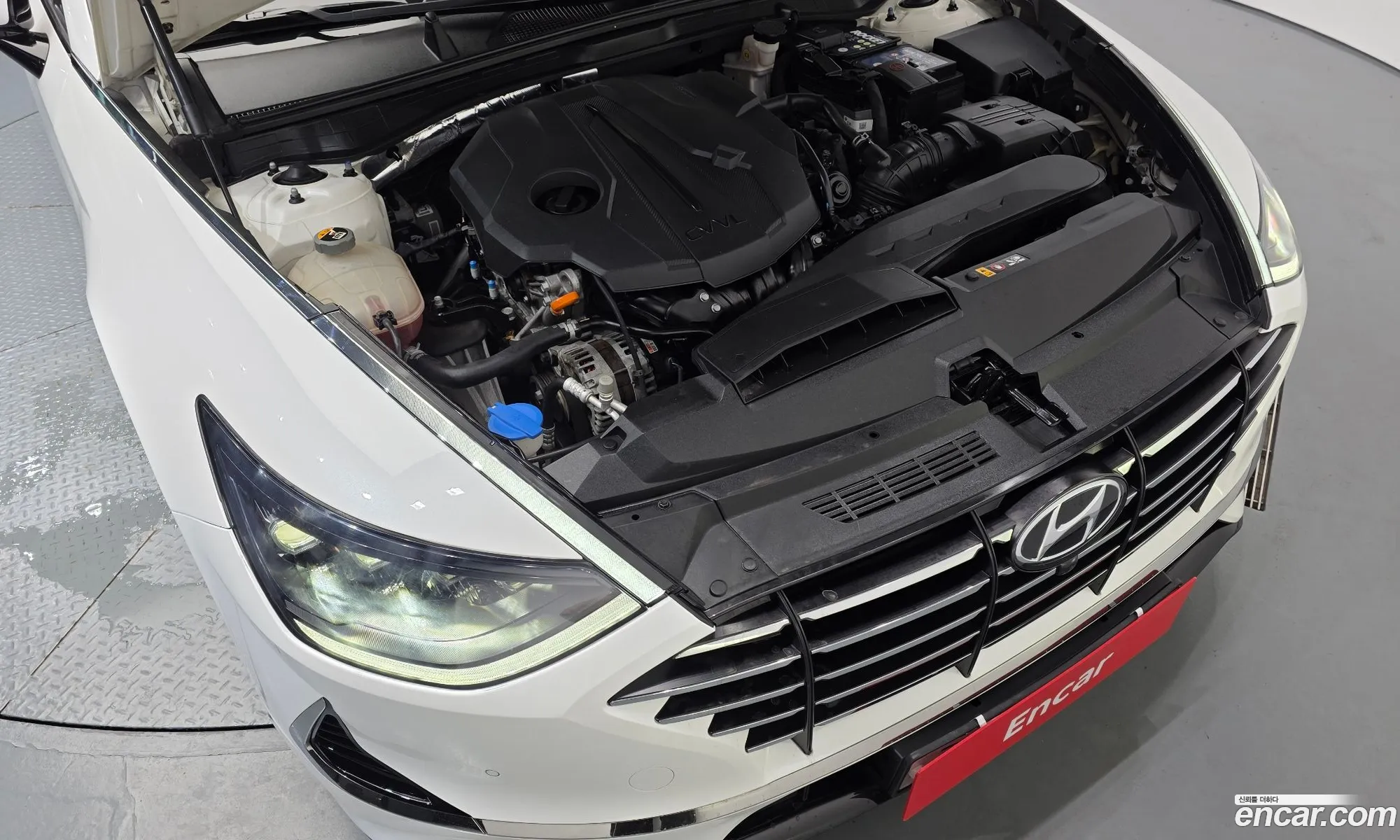 Hyundai Sonata 2019 KMHL241EBLA019968 — 12
