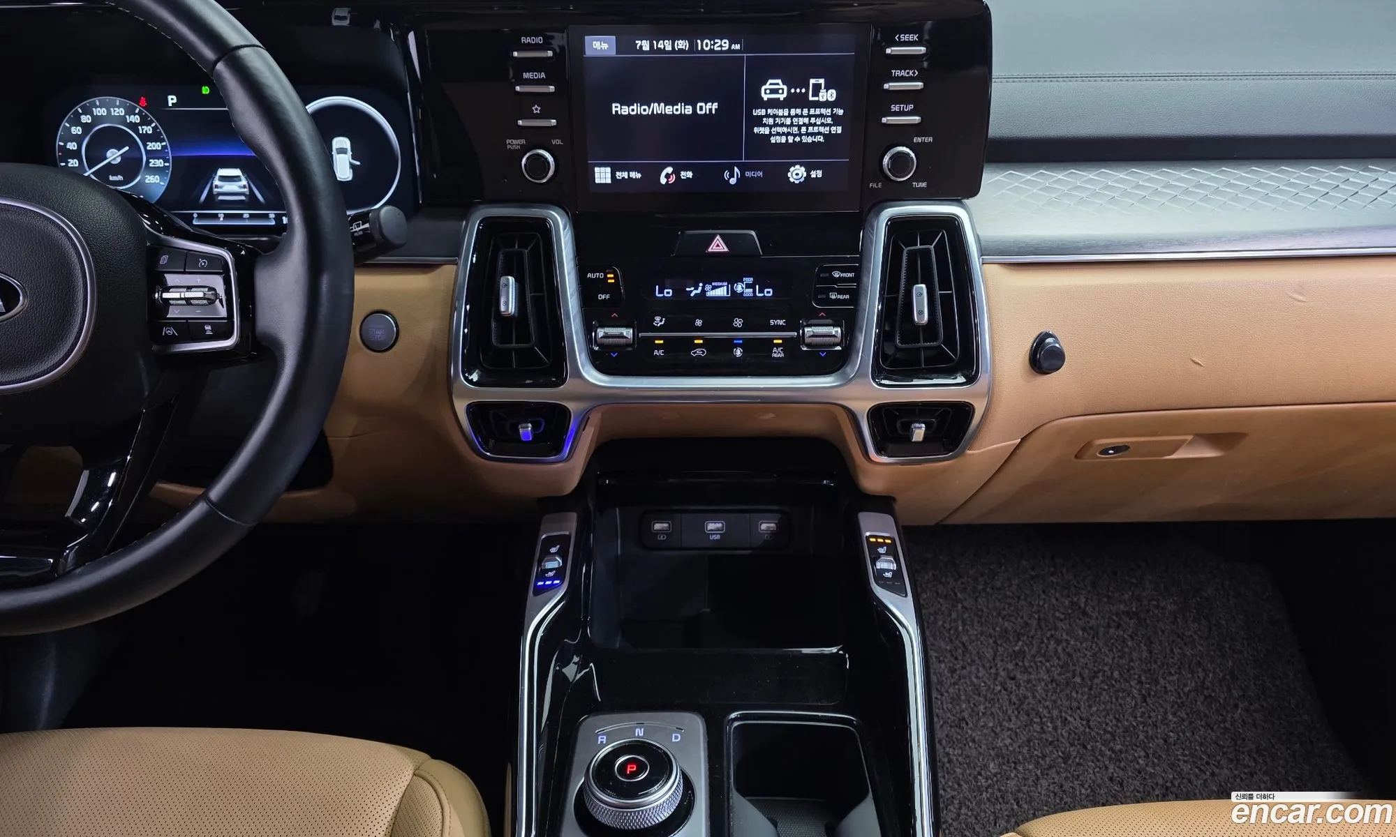 Kia Sorento 2020 KNARH81BHMA017770 — 10