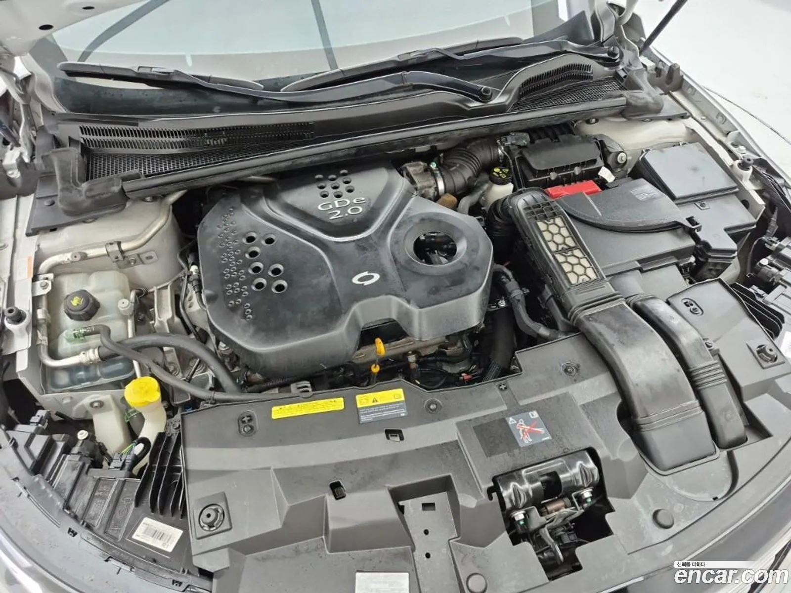 Renault Korea (Samsung) SM6 2019 — 6