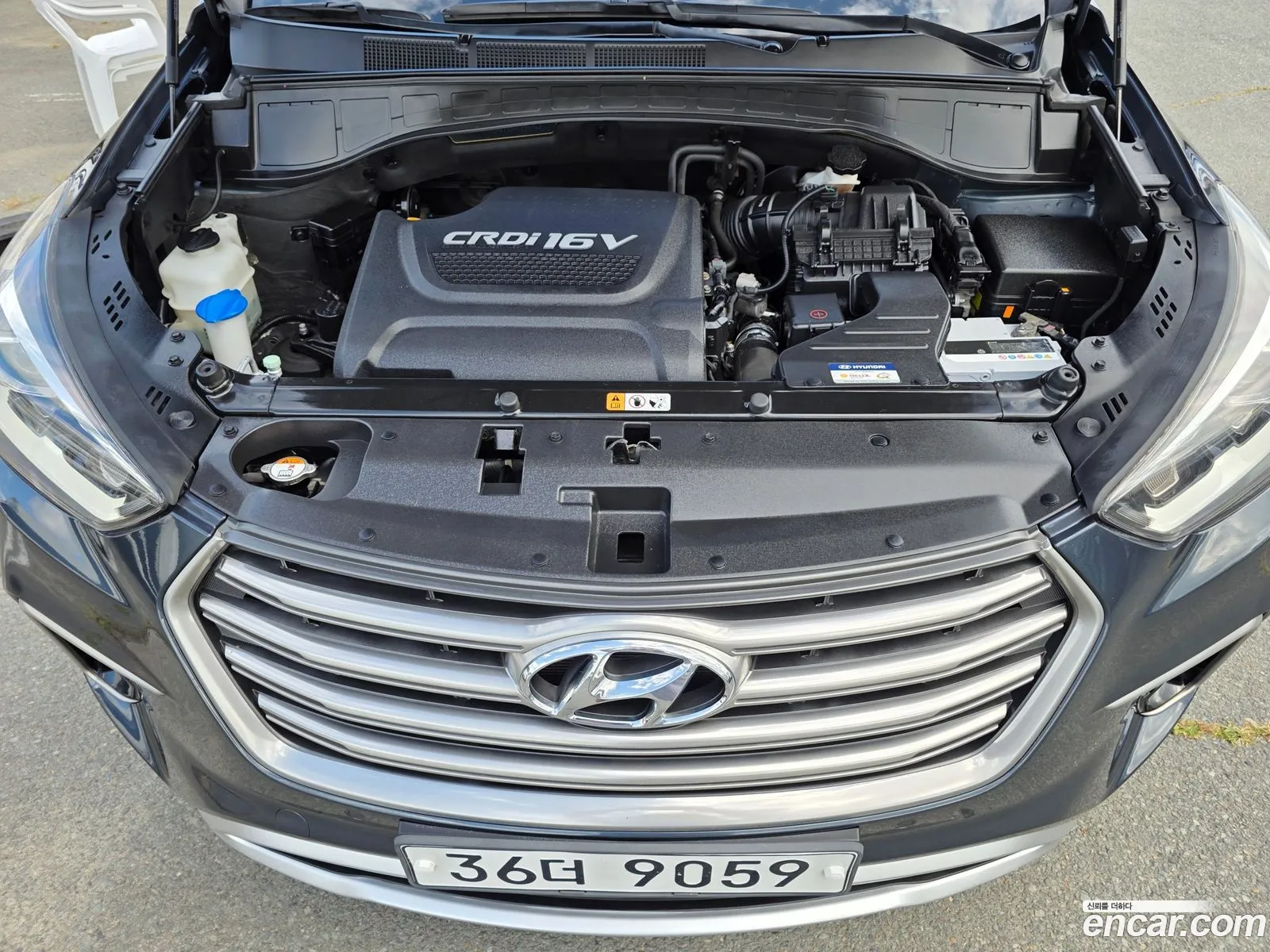 Hyundai Maxcruz 2017 — 12