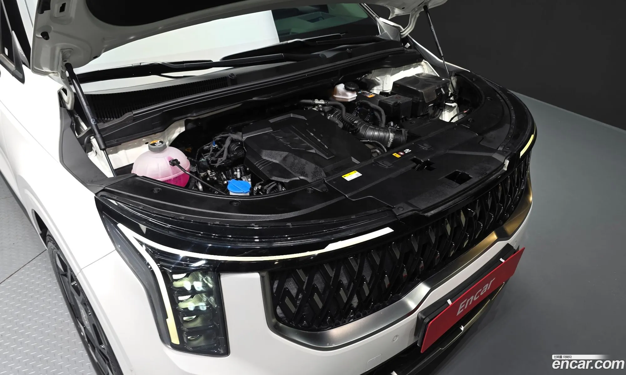 Kia Carnival 2024 — 21