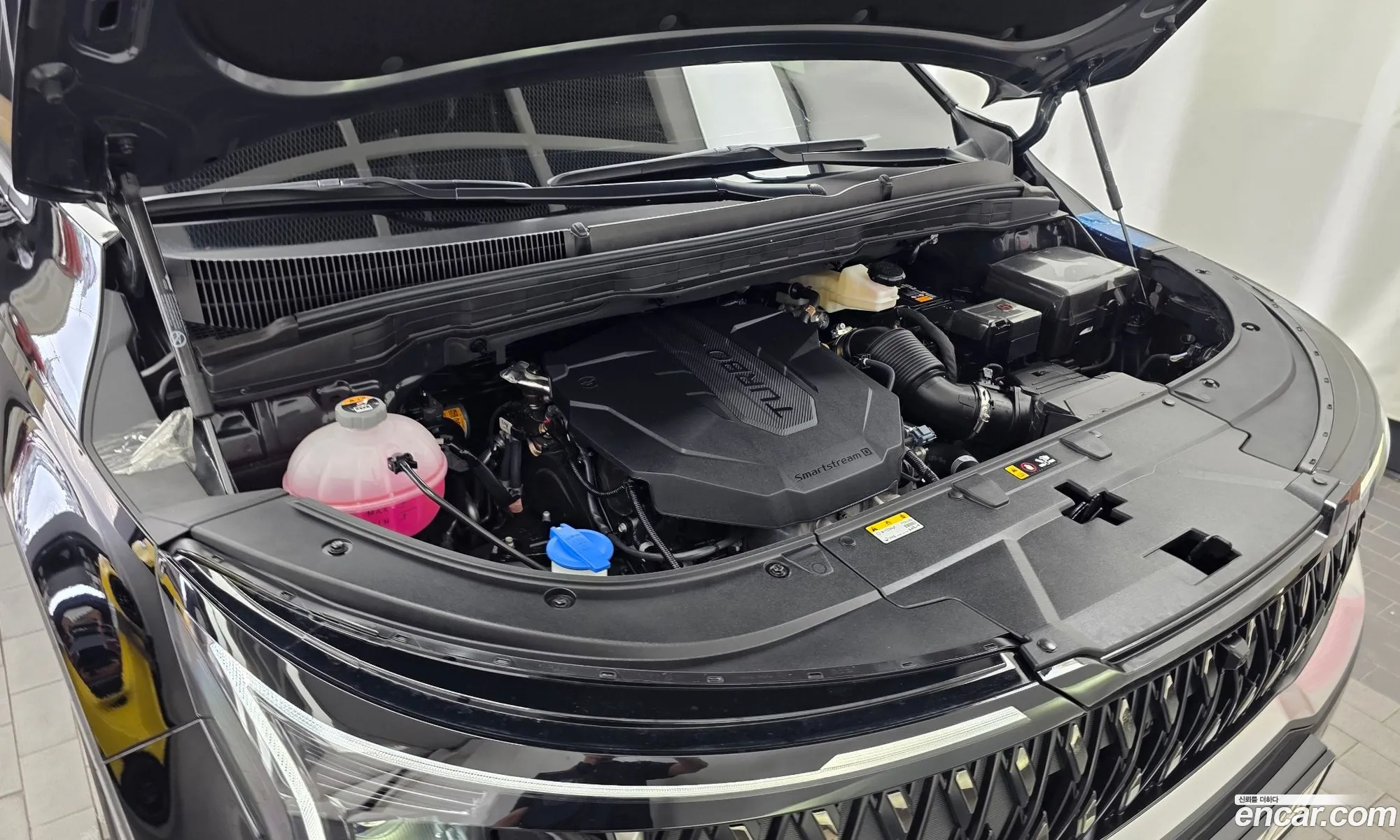 Kia Carnival 2024 KNANC81BBSS504589 — 12