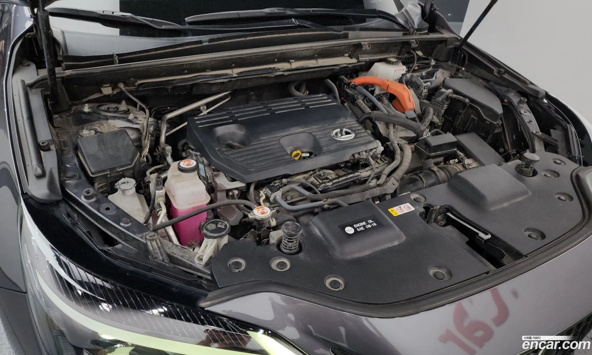 Lexus NX350h