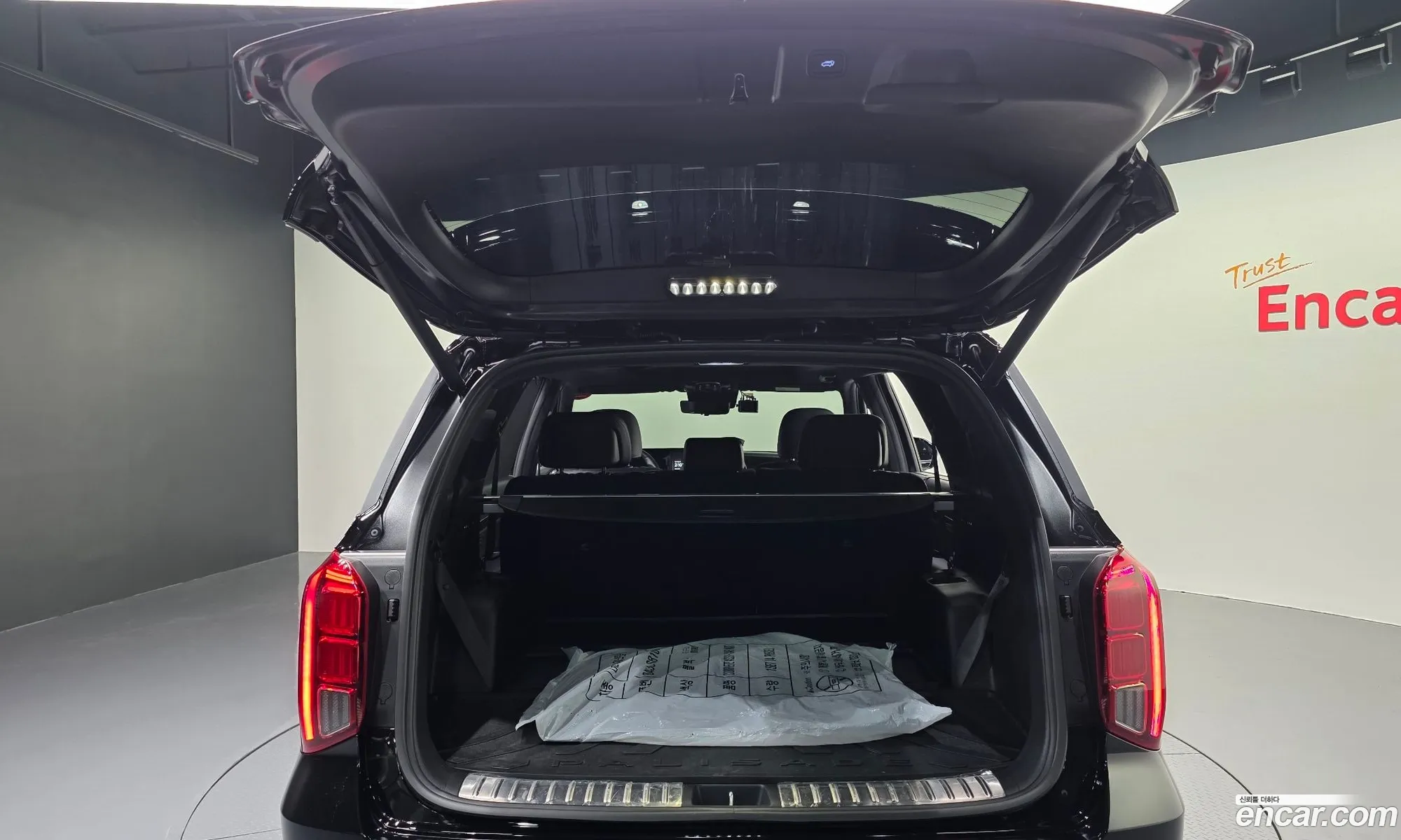 Hyundai Palisade 2024 — 9