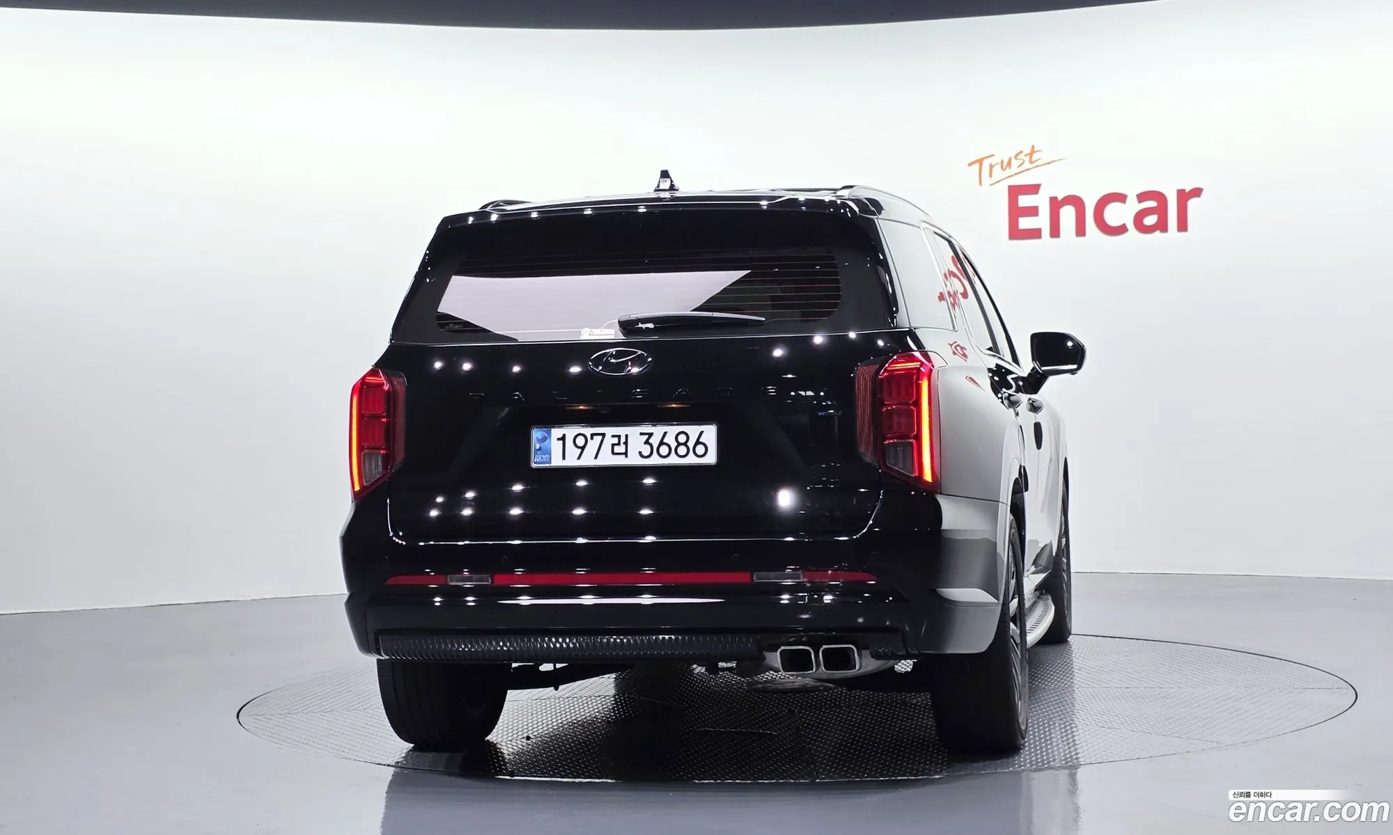 Hyundai Palisade 2024 — 14