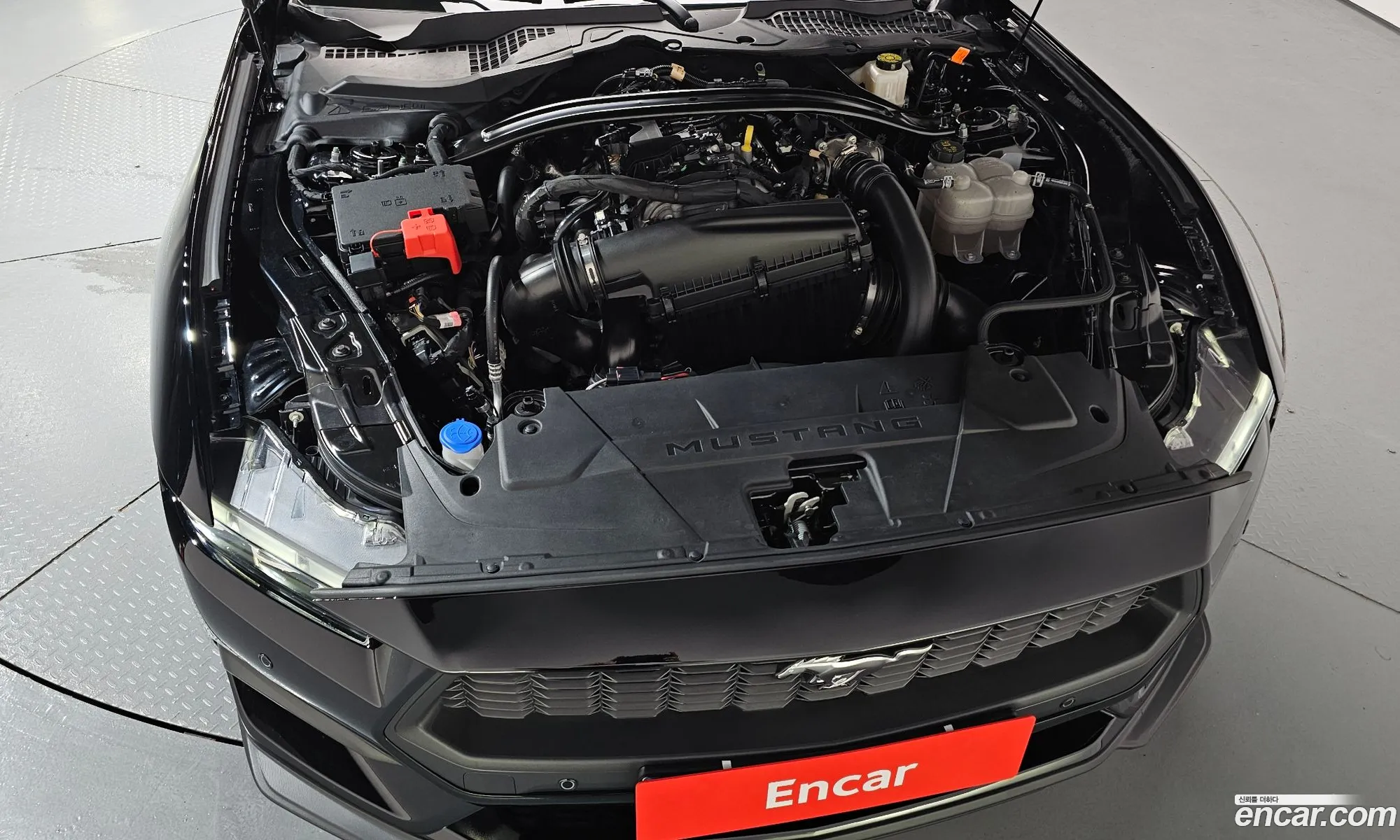 Ford Mustang 7th Gen 2024 — 14