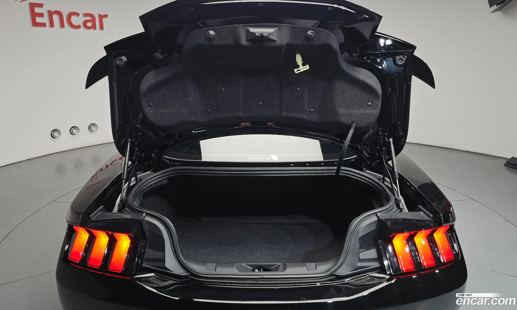 Ford Mustang 7th Gen 2024 — 25