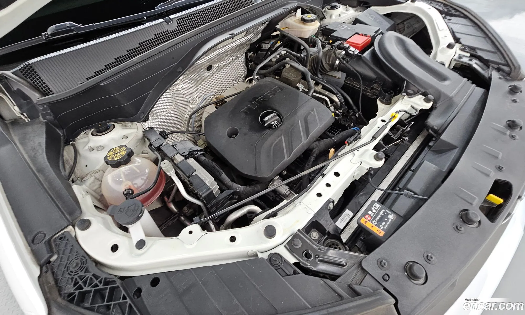 Chevrolet (GM Daewoo) Trailblazer 2020 KLAPD56LDMB099643 — 21
