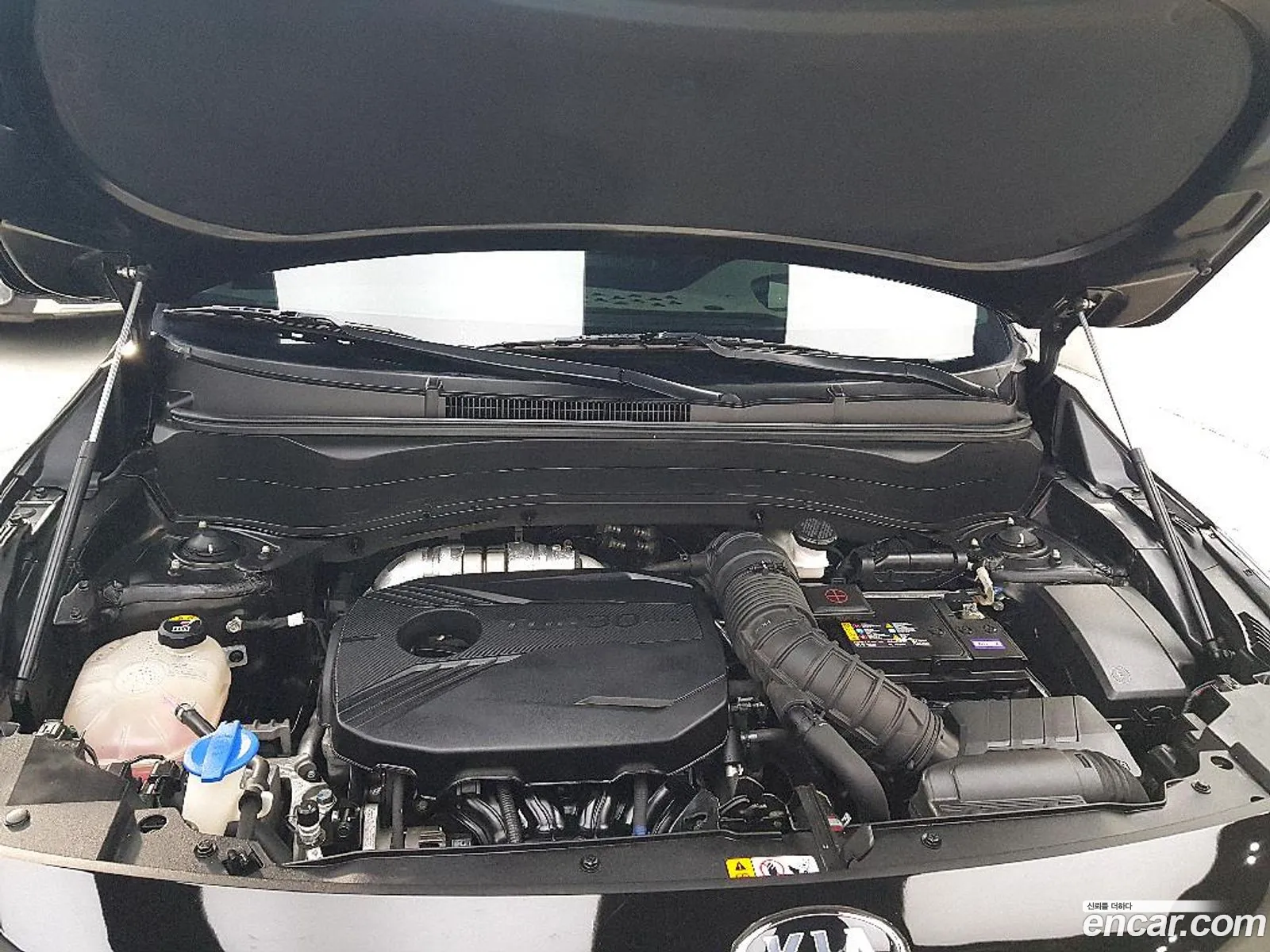 Kia Seltos 2021 — 2