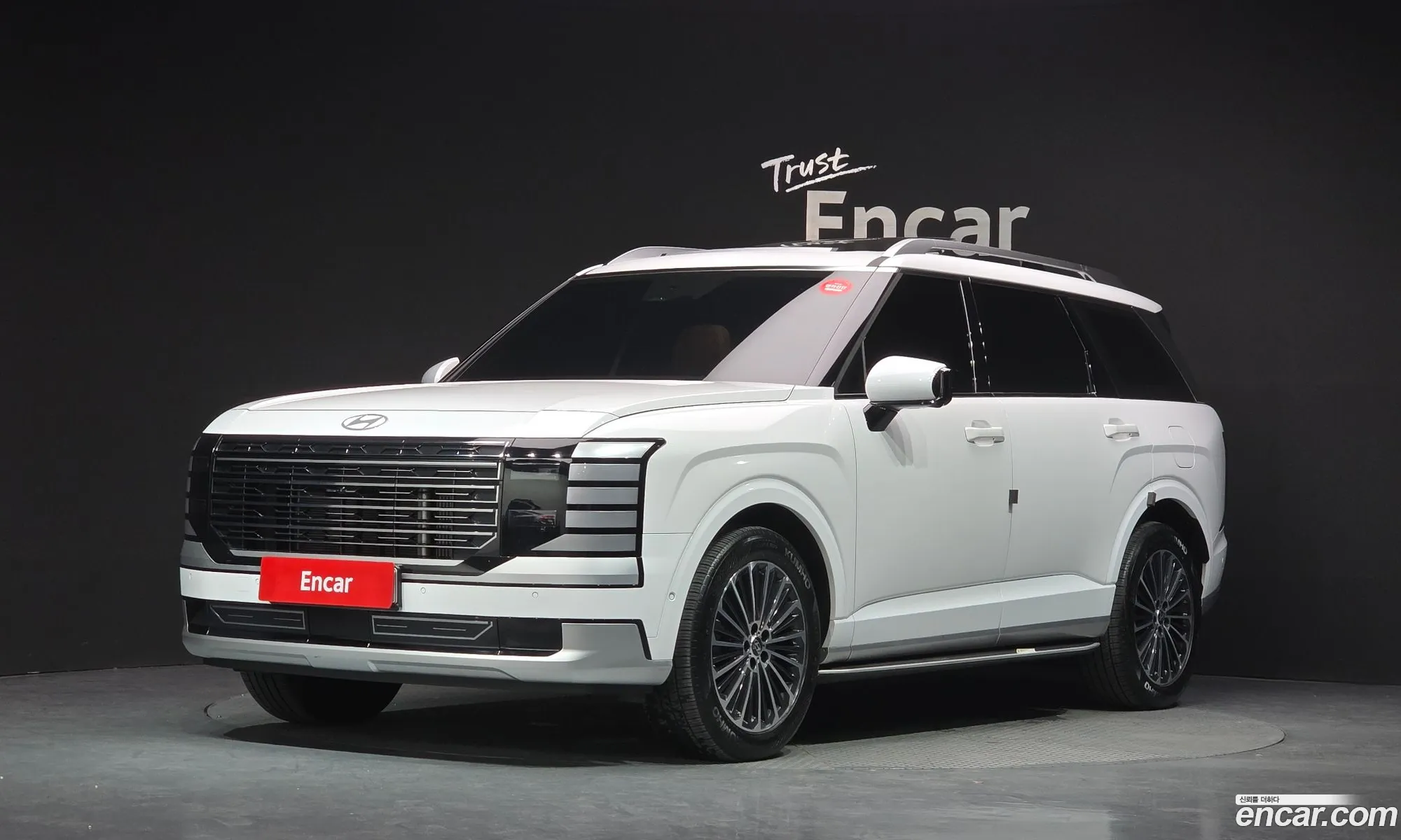 Hyundai Palisade 2025 — 27