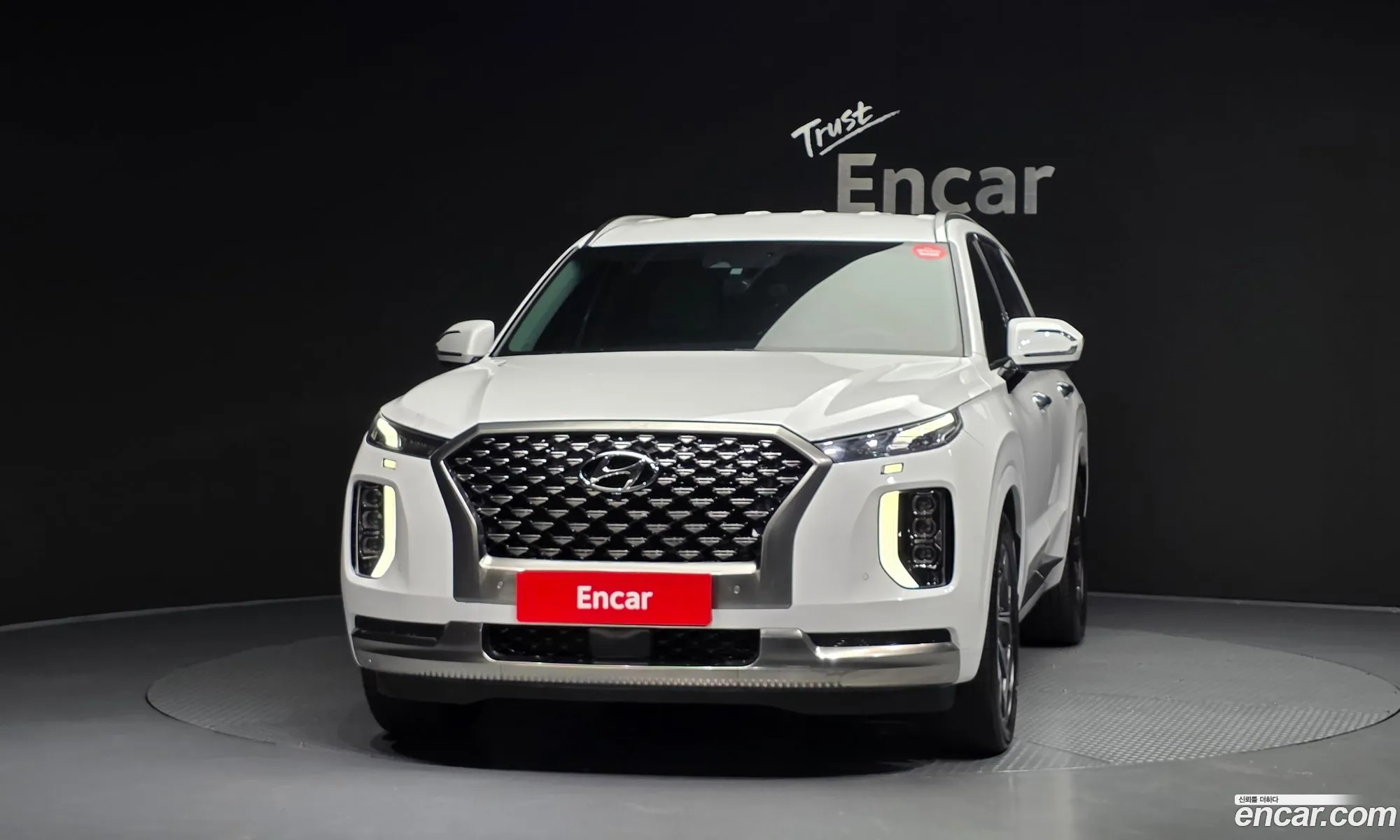 Hyundai Palisade 2021 — 8
