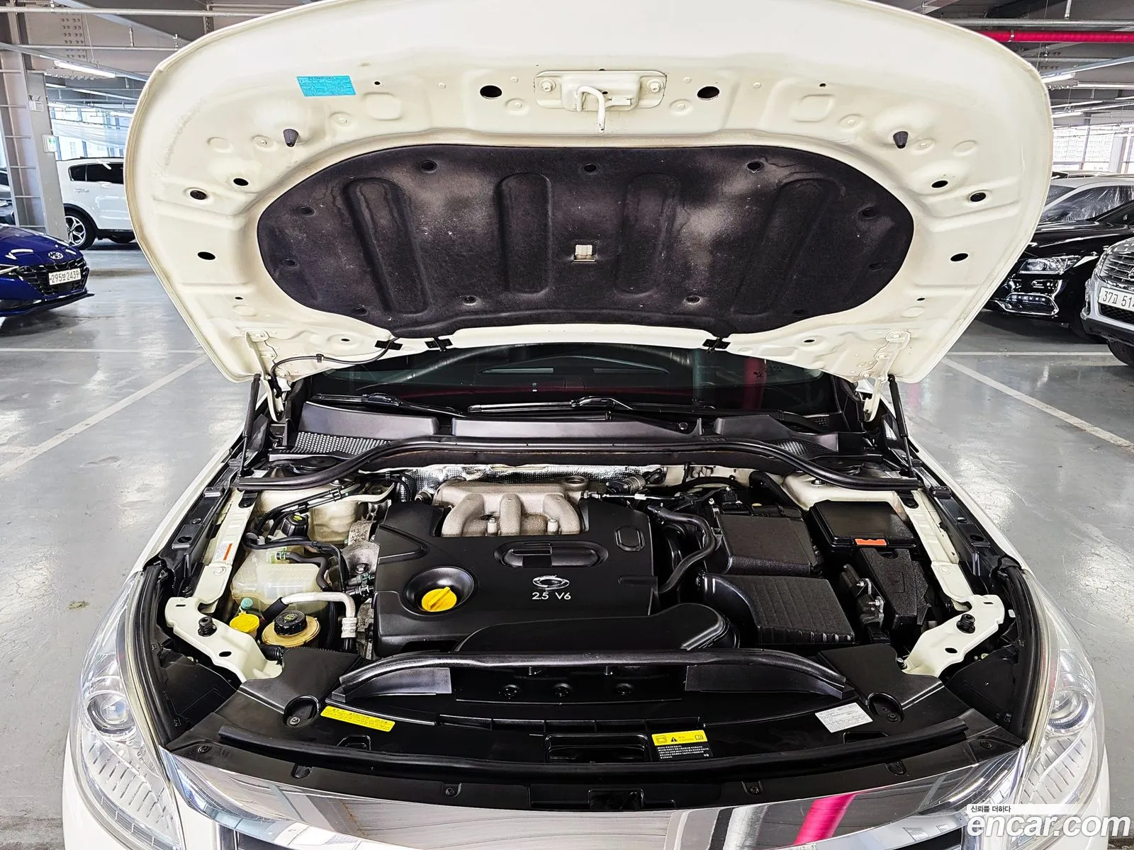Renault Korea (Samsung) SM7 2012 — 20