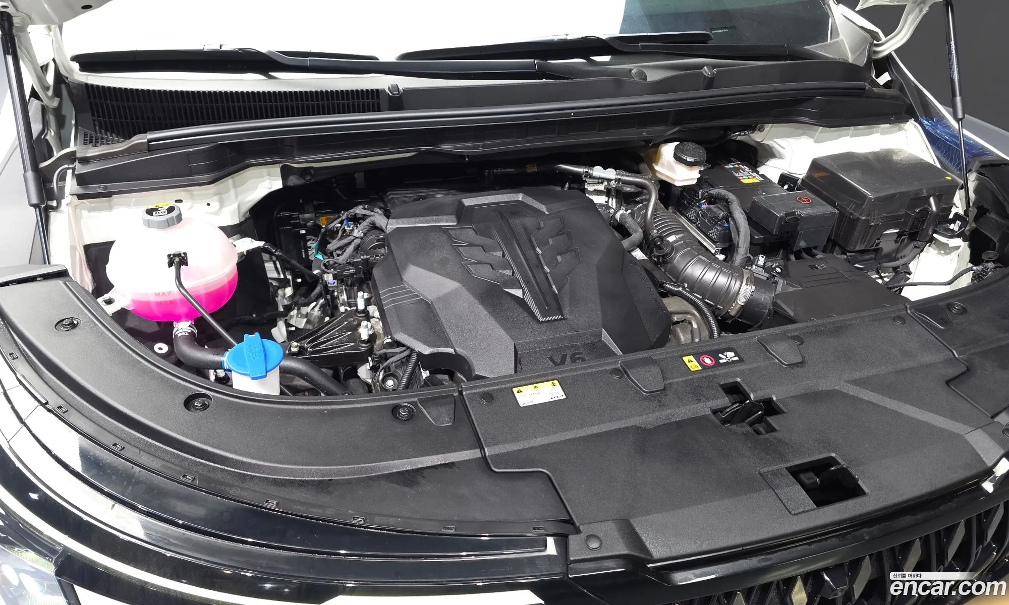 Kia Carnival 2024 KNANE813BRS428373 — 18