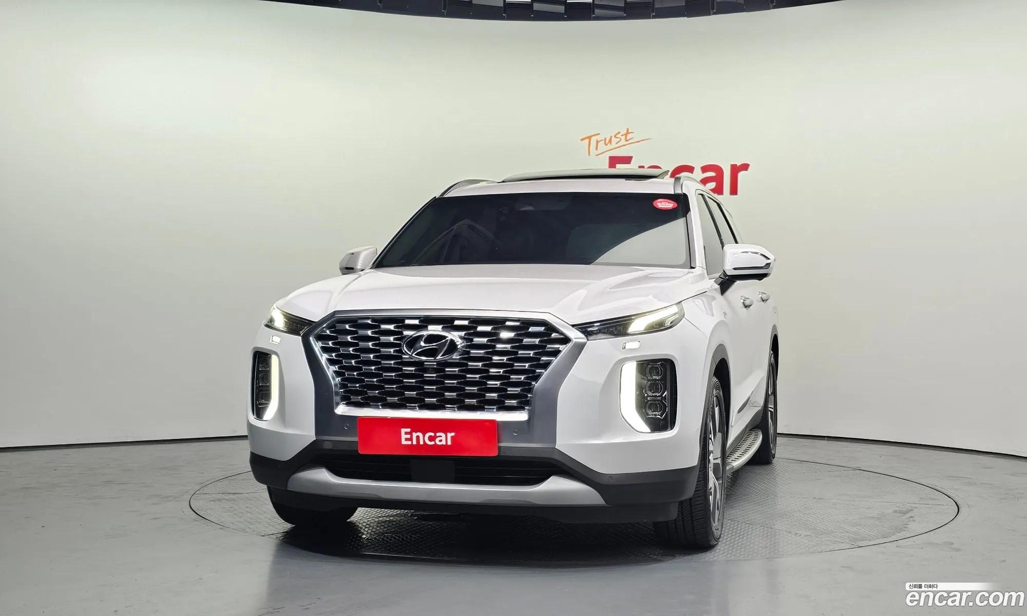 Hyundai Palisade 2020 KMHR381EDLU115599 — 8