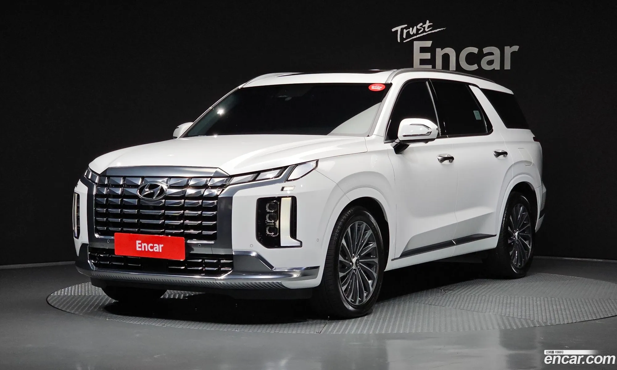 Hyundai Palisade 2023 — 31