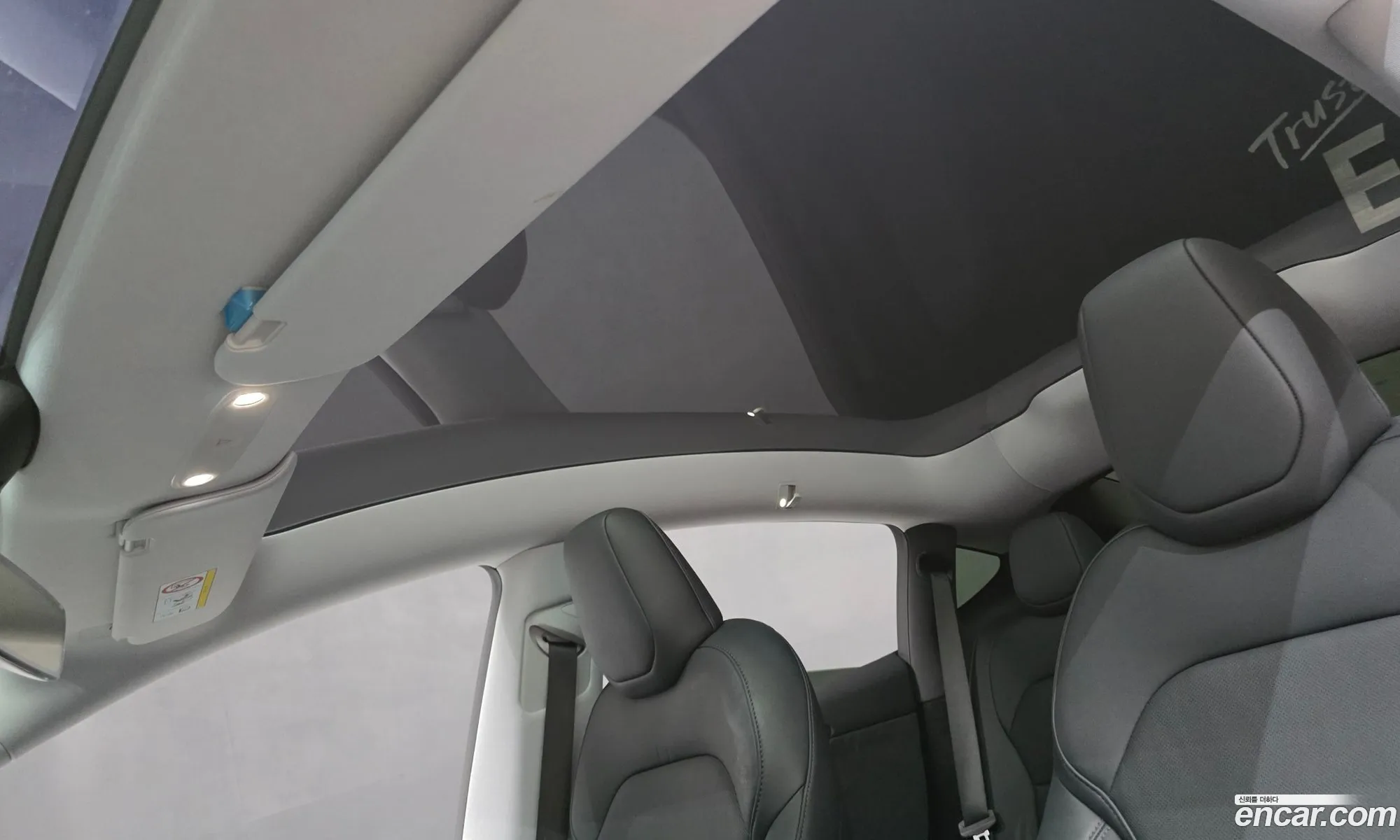 Tesla Model Y 2025 LRWYGCEK1SC055579 — 15