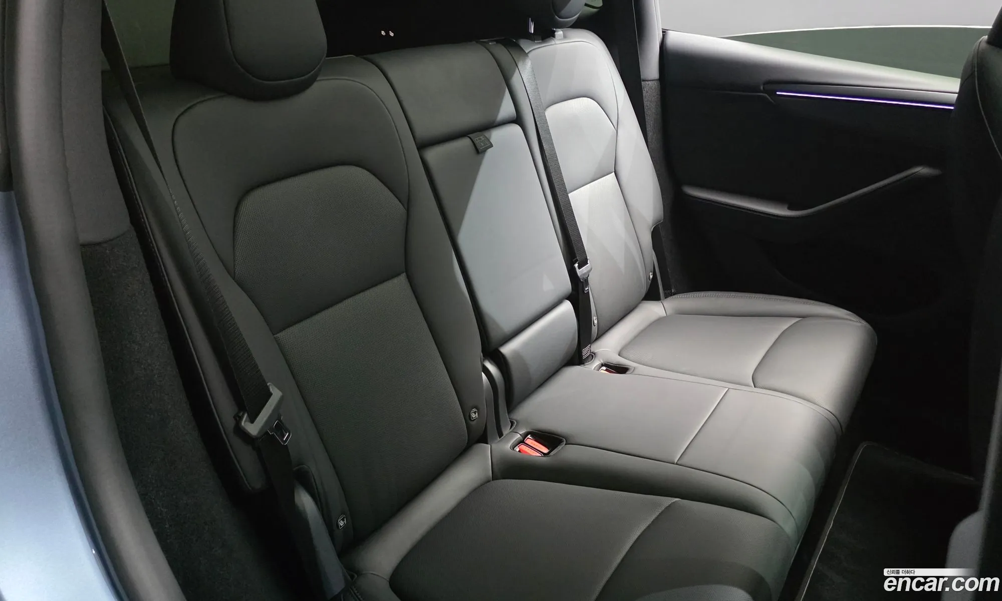 Tesla Model Y 2025 LRWYGCEK1SC055579 — 5