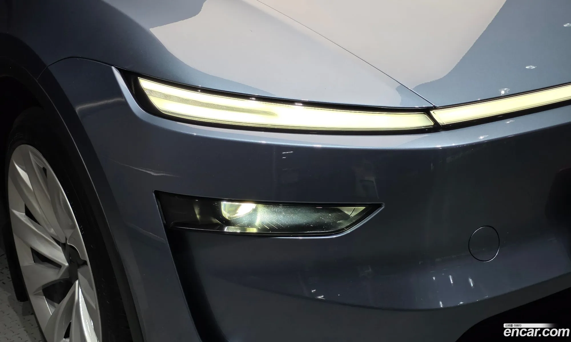 Tesla Model Y 2025 LRWYGCEK1SC055579 — 29