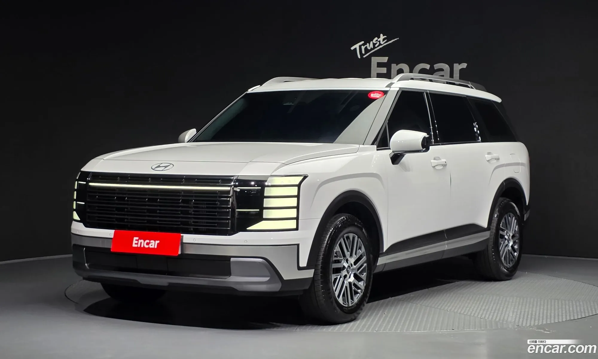 Hyundai Palisade 2025 — 13