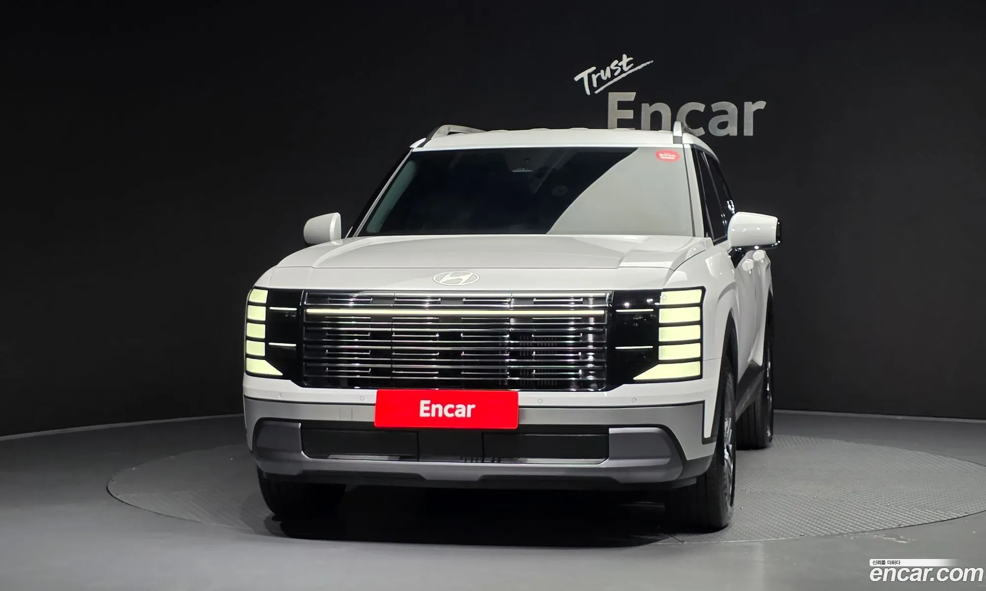 Hyundai Palisade 2025 — 24