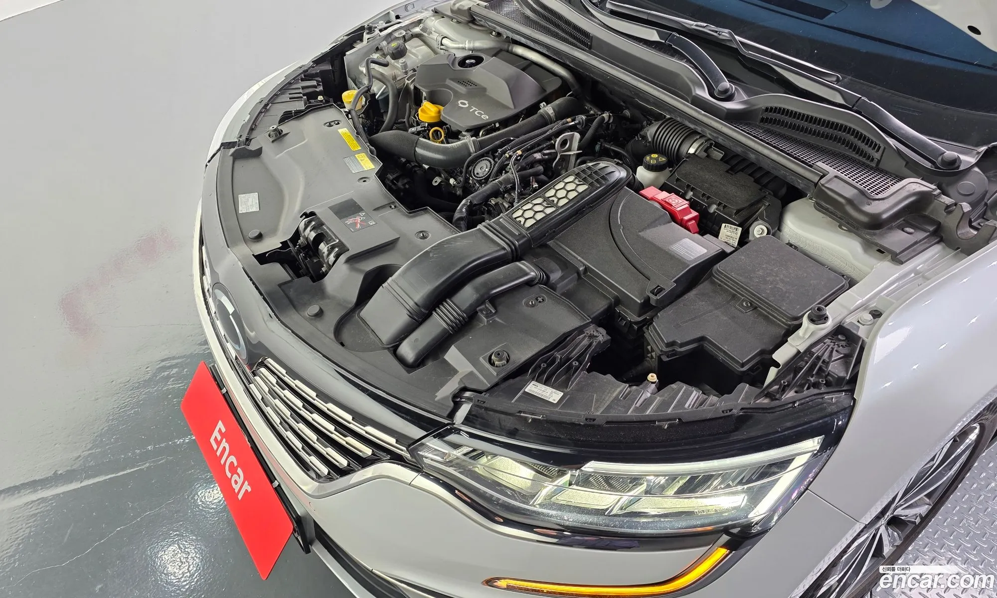 Renault Korea (Samsung) SM6 2021 — 29