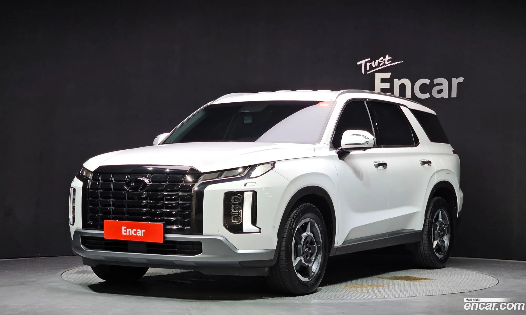 Hyundai Palisade 2022 KMHR281EBPU502981 — 11