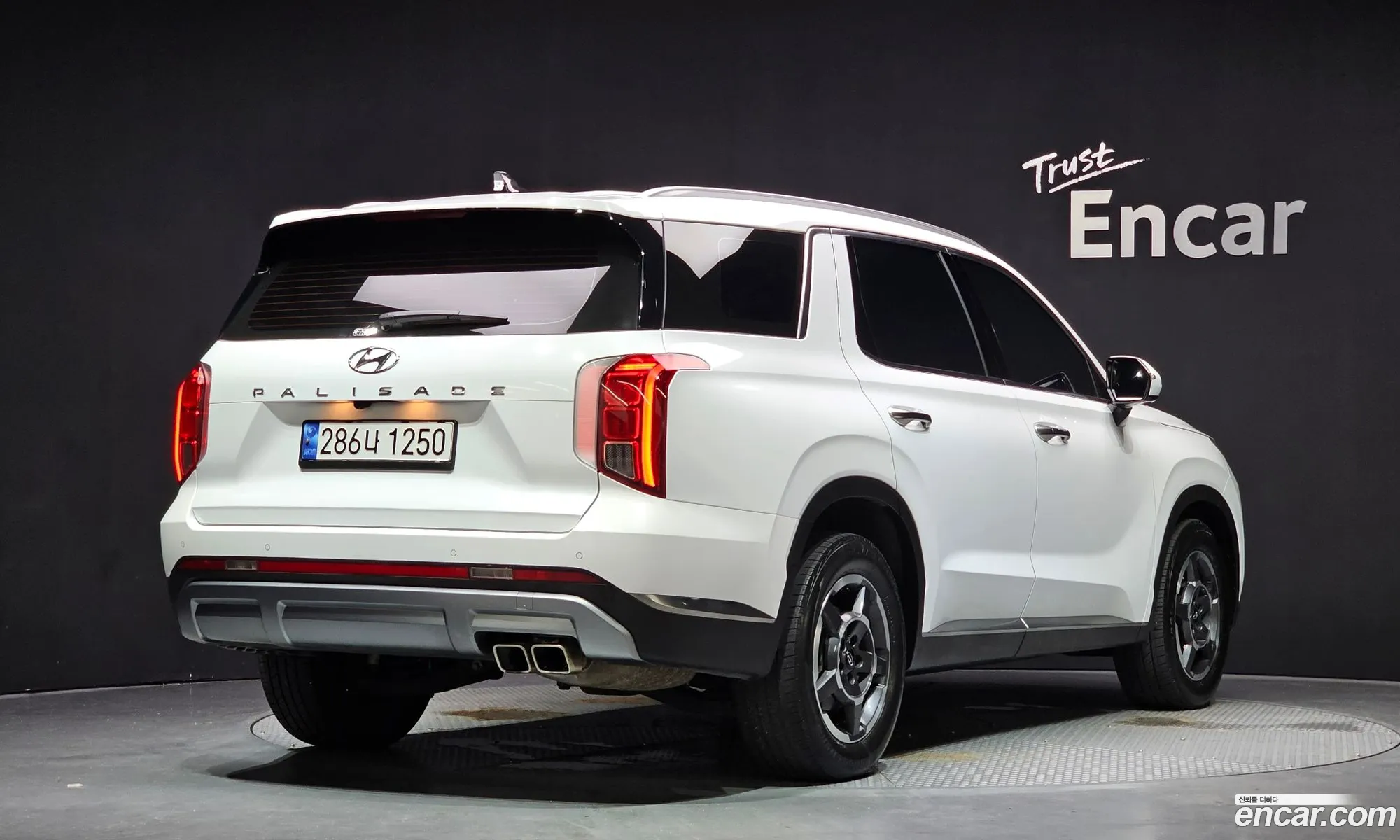 Hyundai Palisade 2022 KMHR281EBPU502981 — 12
