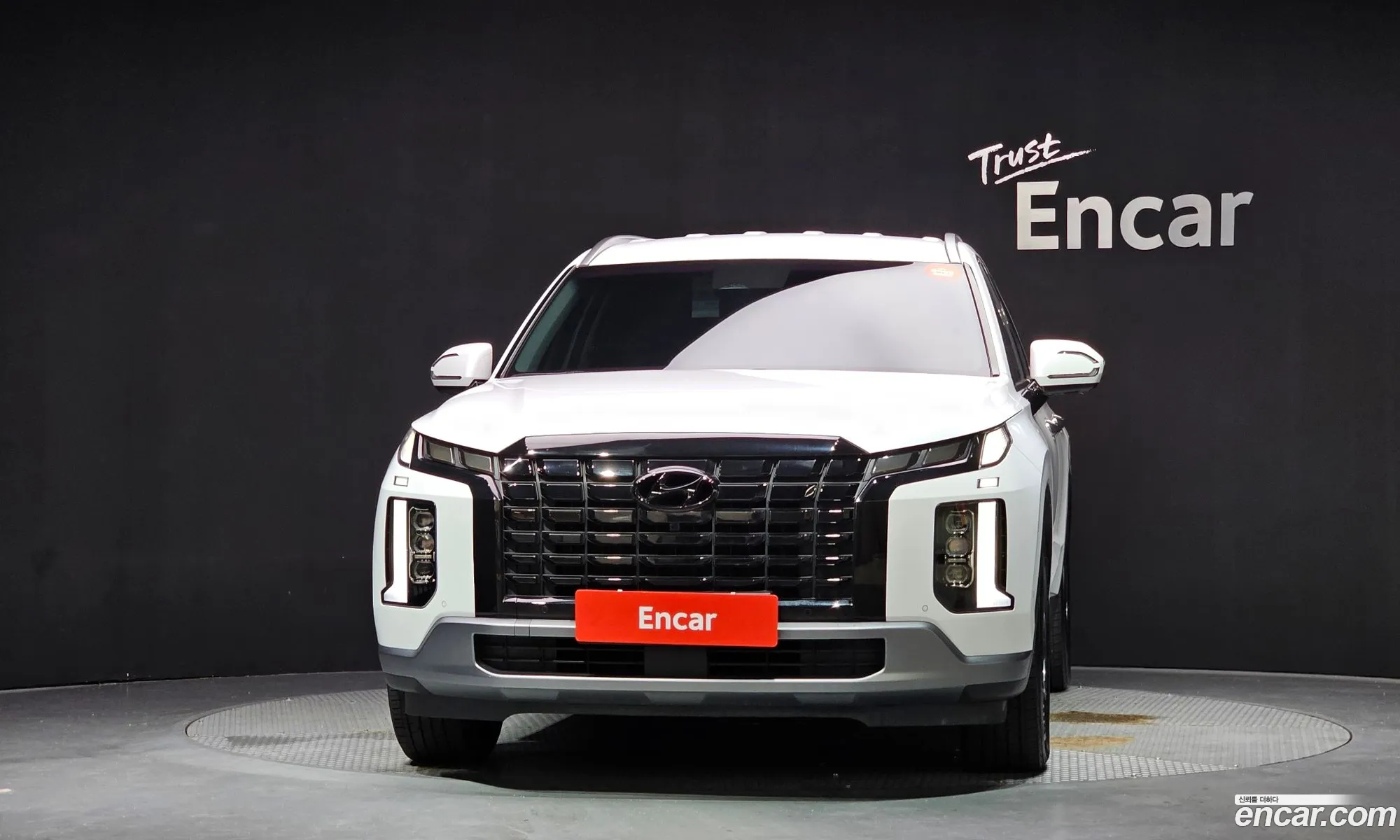 Hyundai Palisade 2022 KMHR281EBPU502981 — 29