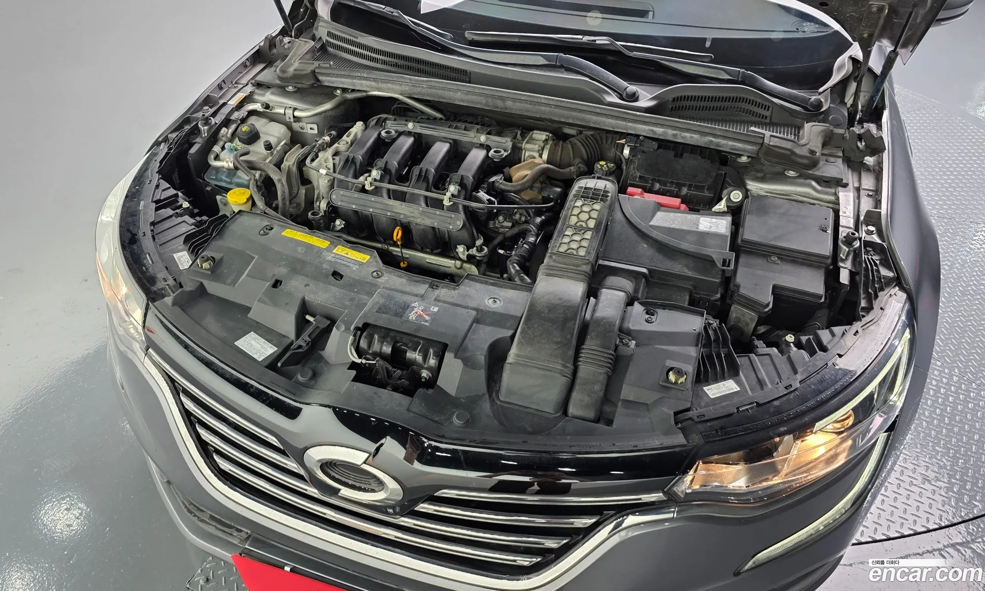 Renault Korea (Samsung) SM6 2016 — 16