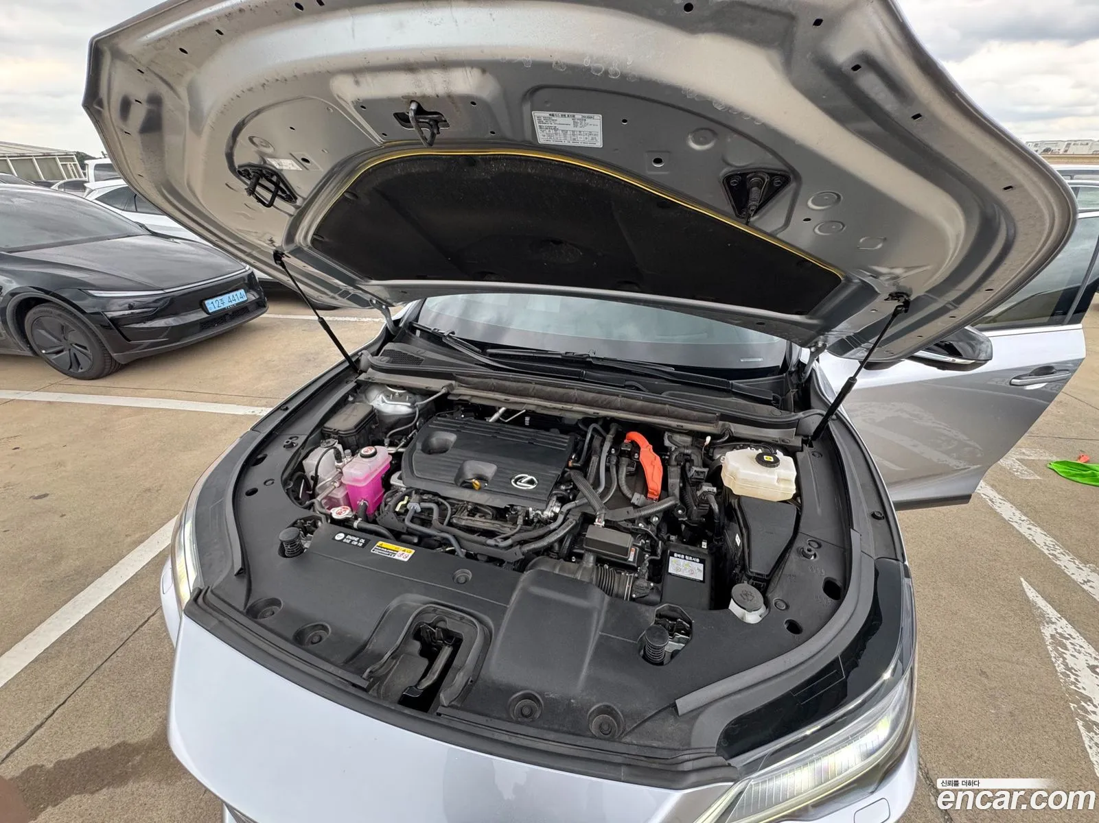 Lexus RX350h 2025 — 4