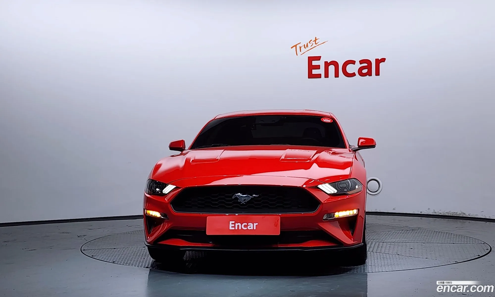 Ford Mustang 2019 1FA6P8TH2K5137801 — 22