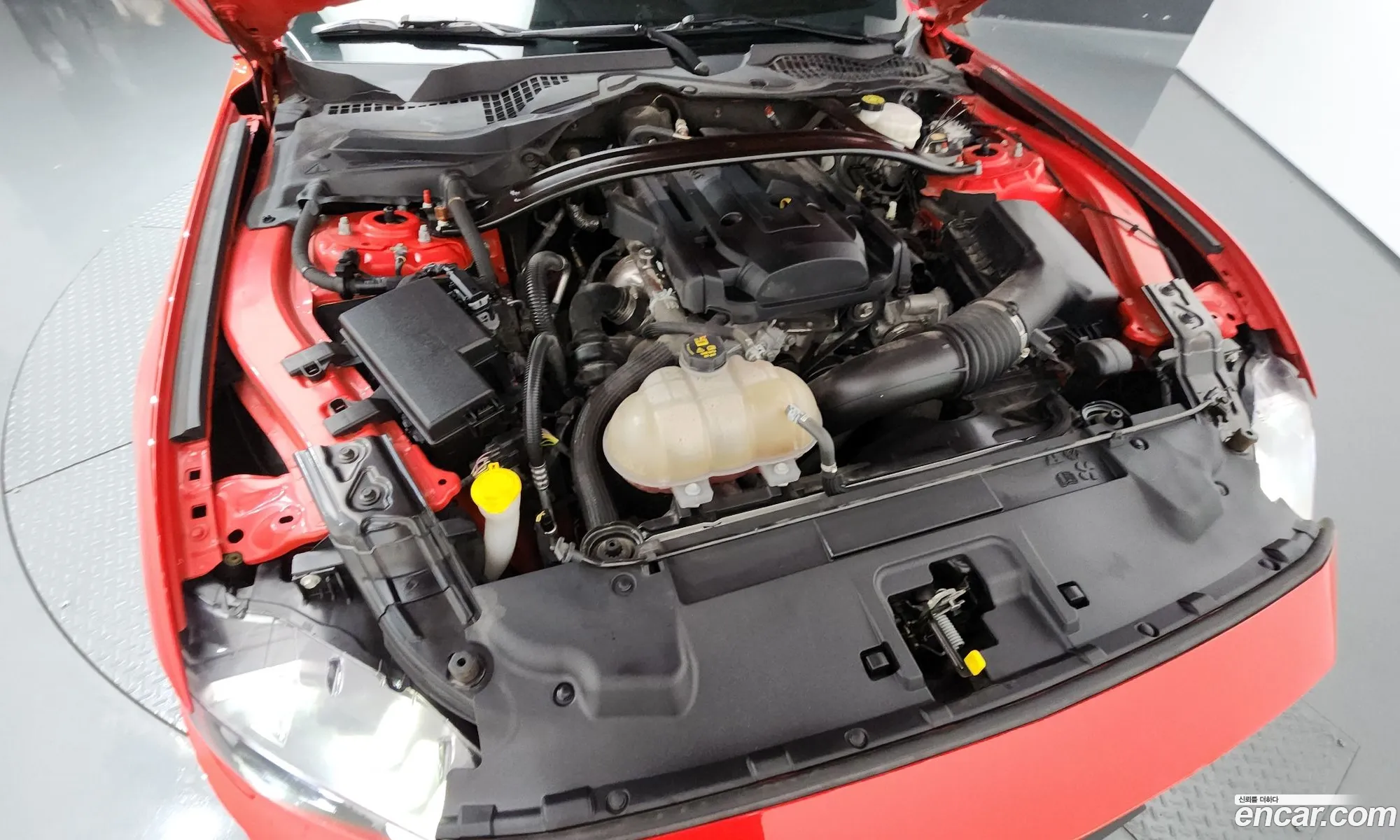 Ford Mustang 2019 1FA6P8TH2K5137801 — 23