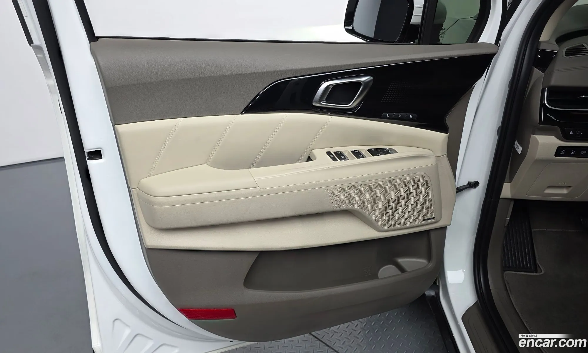 Kia Carnival 2023 KNANE813BRS416463 — 10