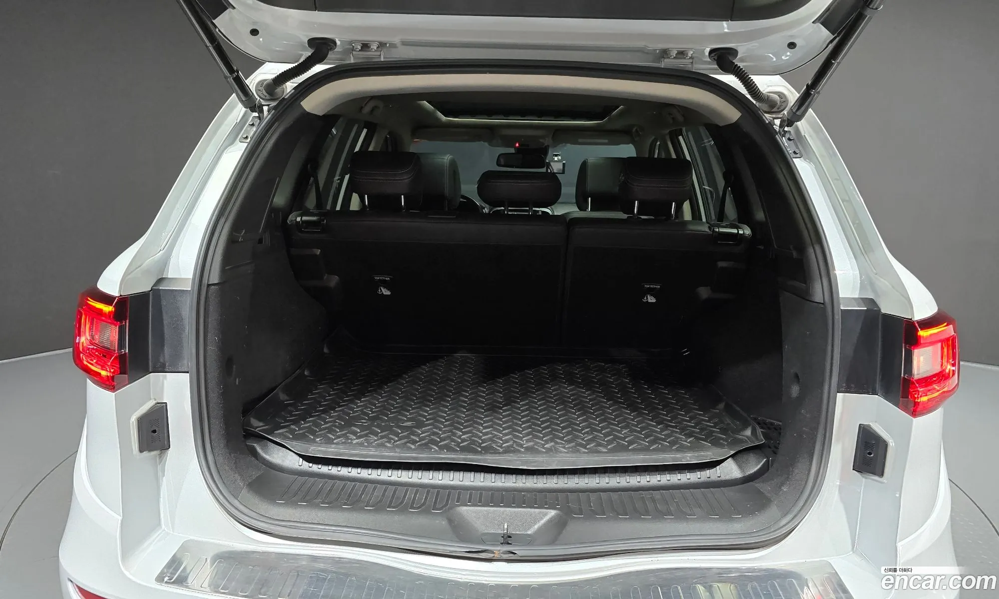 Renault Korea (Samsung) QM6 2019 — 27