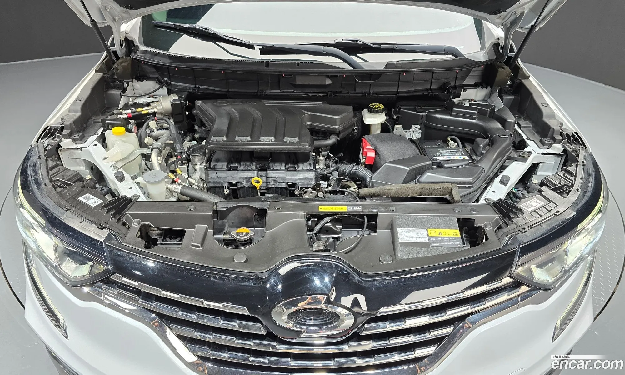 Renault Korea (Samsung) QM6 2019 — 28