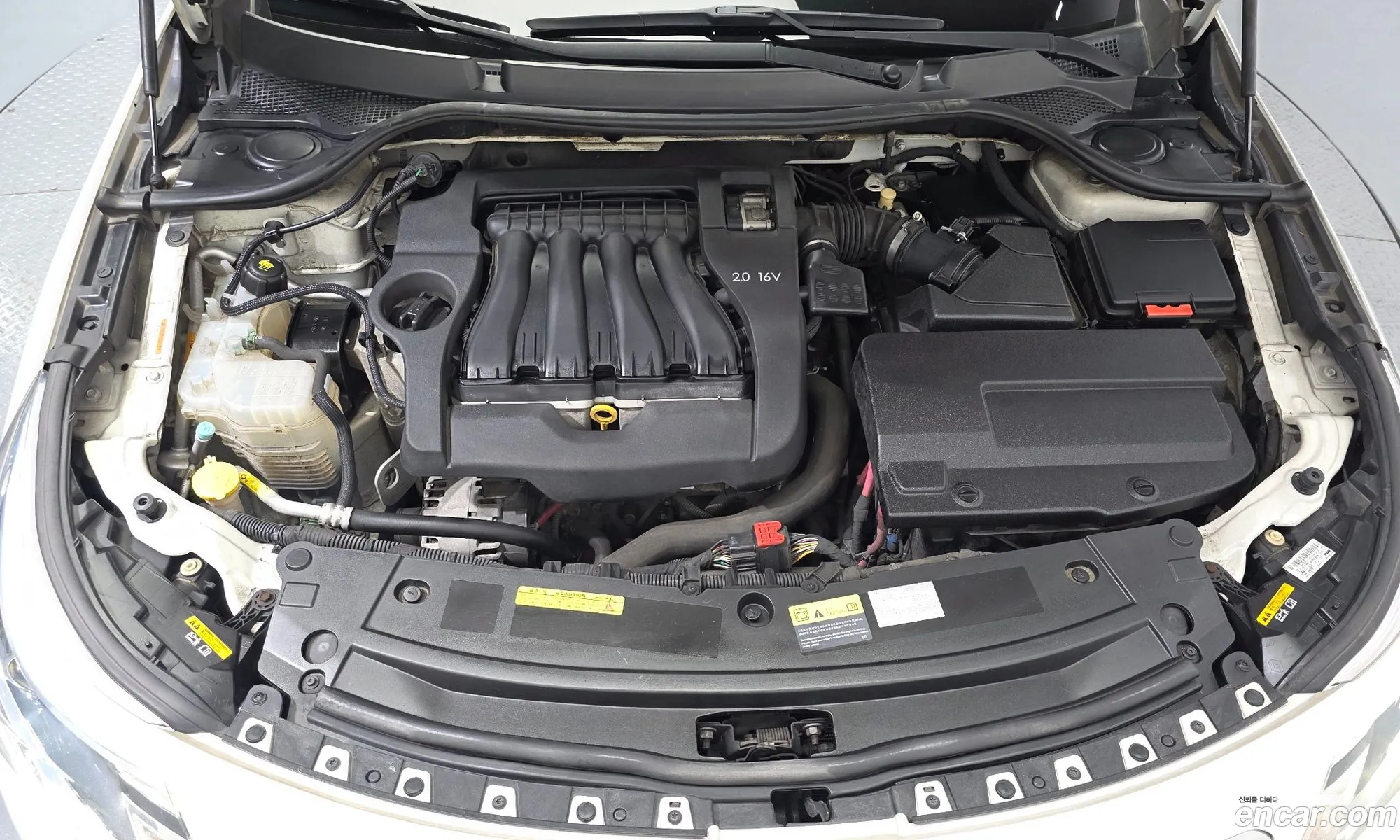 Renault Korea (Samsung) SM5 Platinum