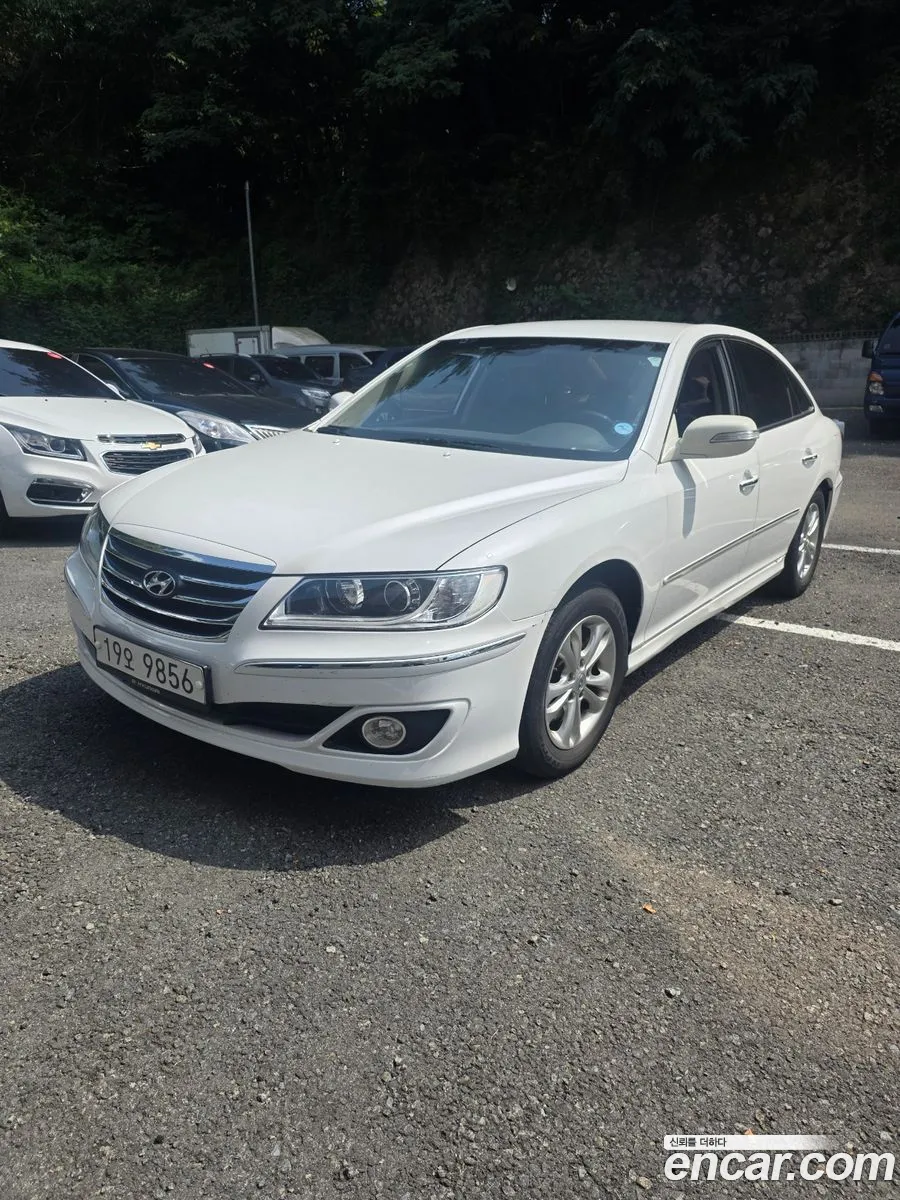 Hyundai The Luxury Grandeur 2010 — 4