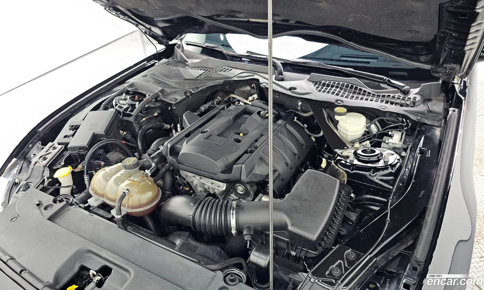 Ford Mustang 2017 1FA6P8TH9H5338412 — 18