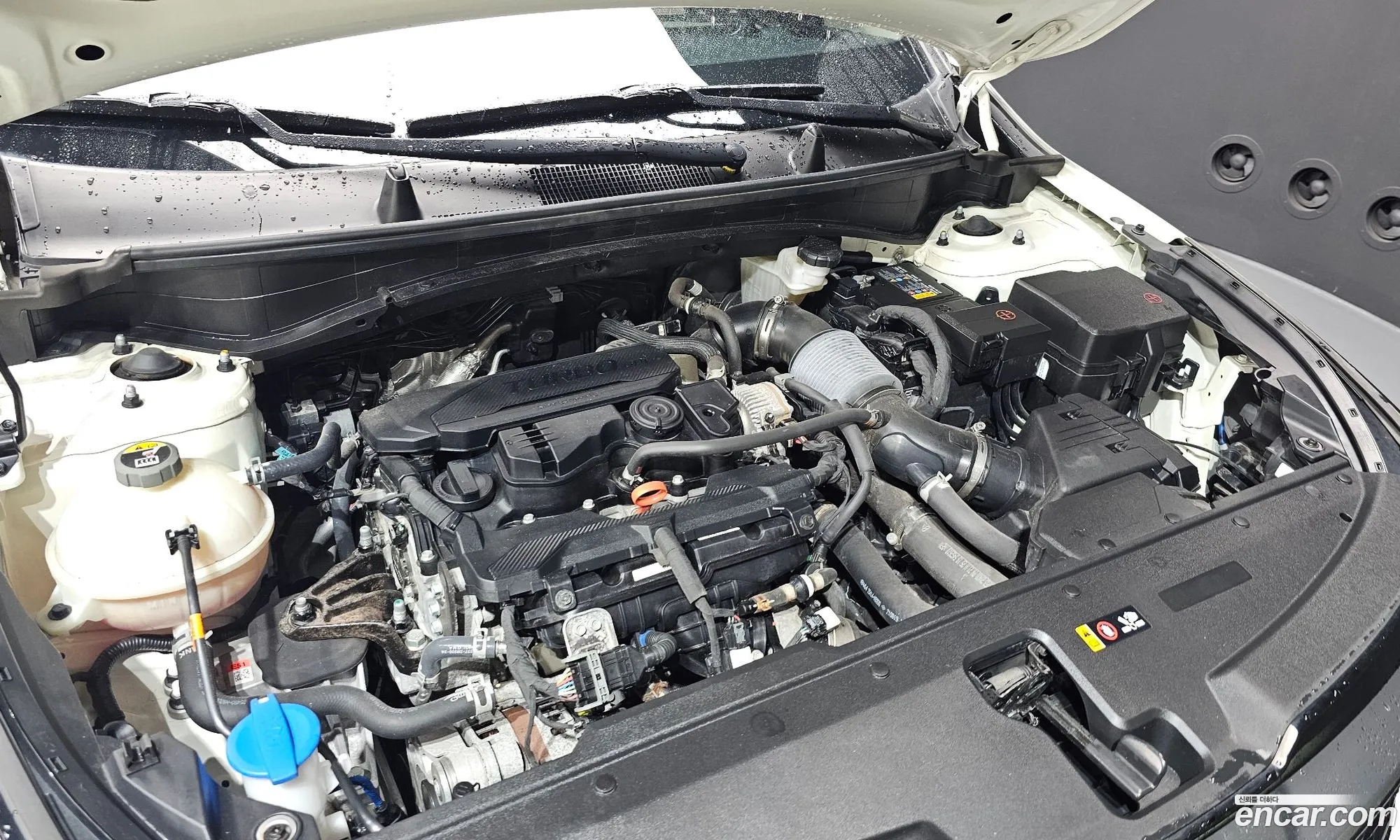 Kia Sportage 2021 KNAPY81BGNK011040 — 12