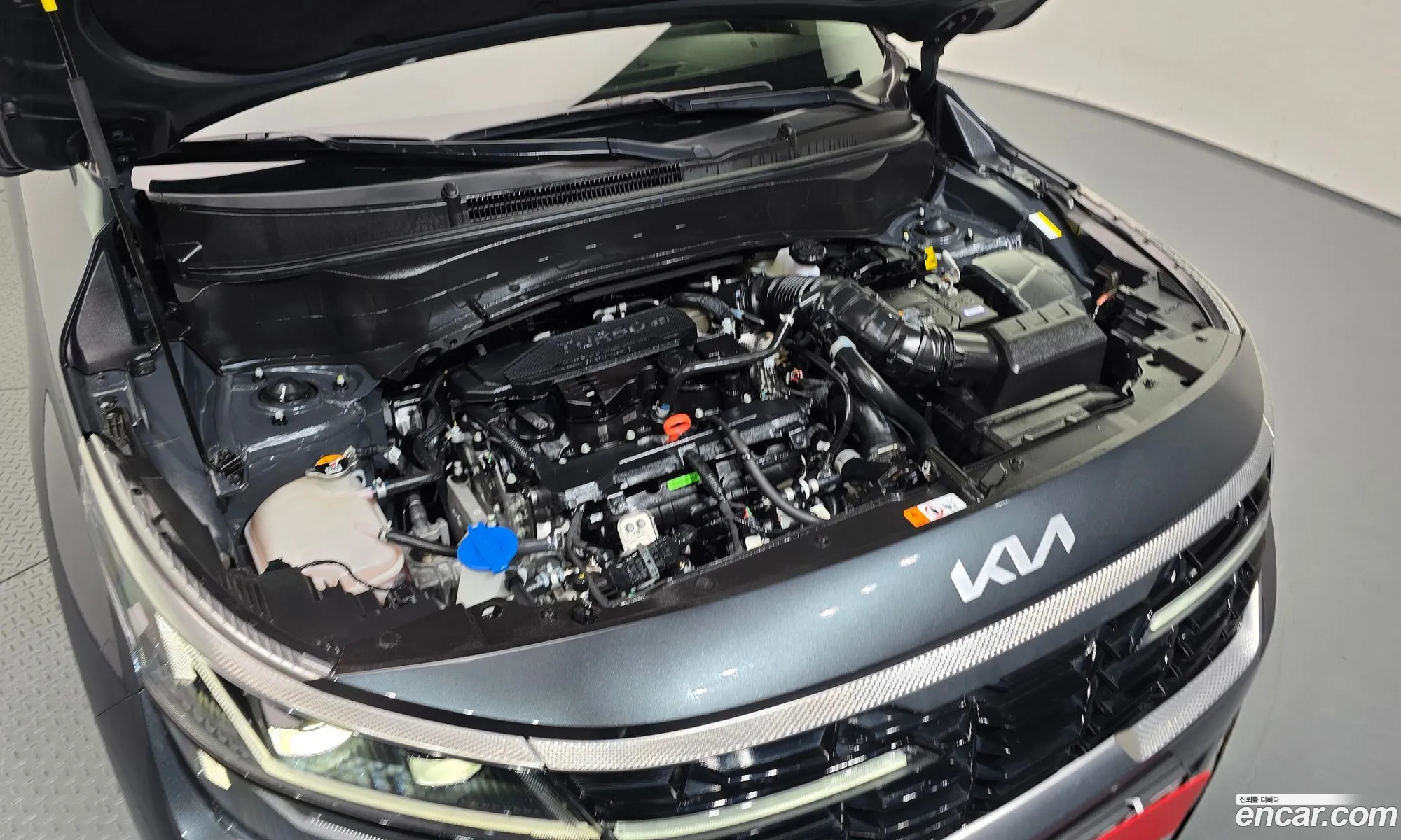 Kia Seltos 2024 KNAET817BRK653798 — 15