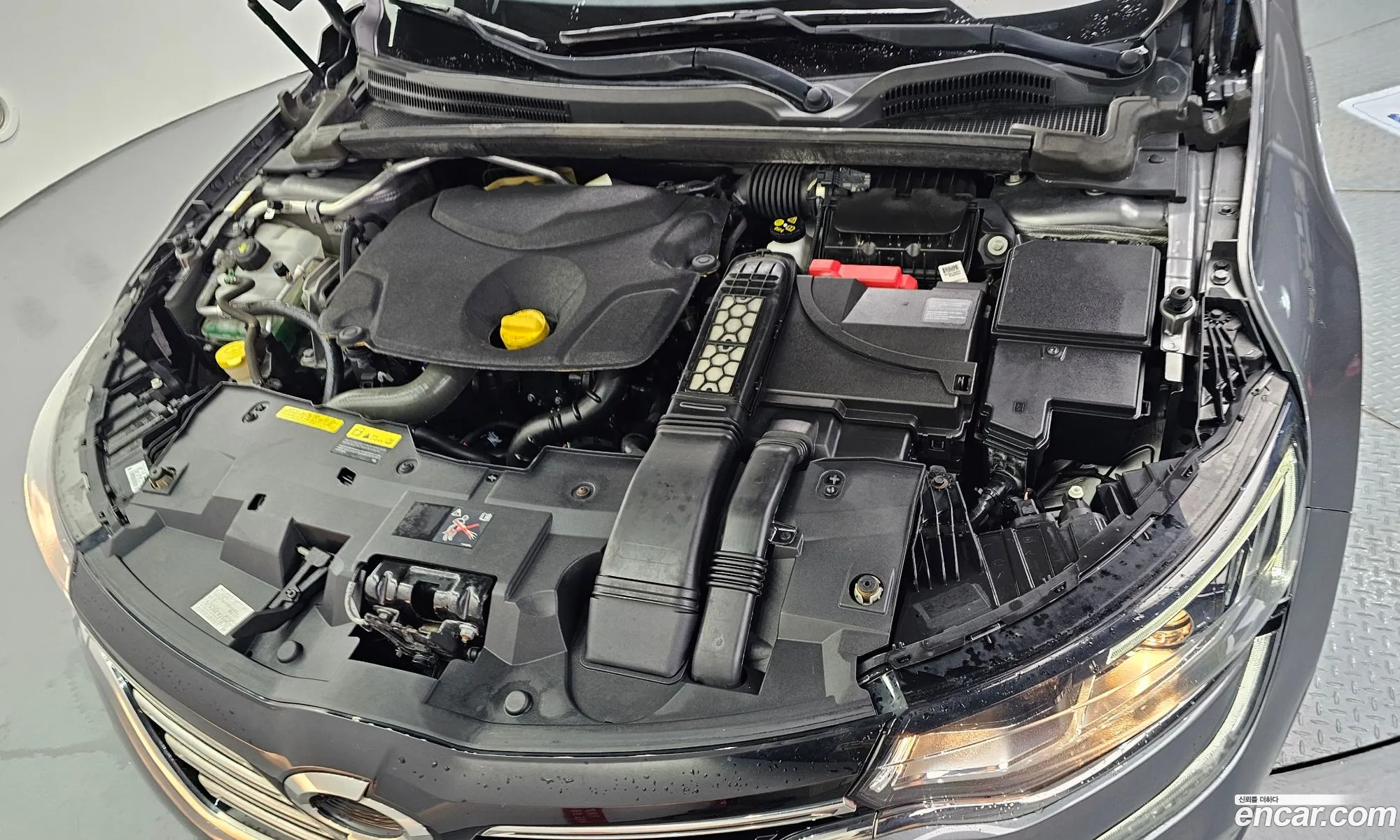 Renault Korea (Samsung) SM6 2016 — 20