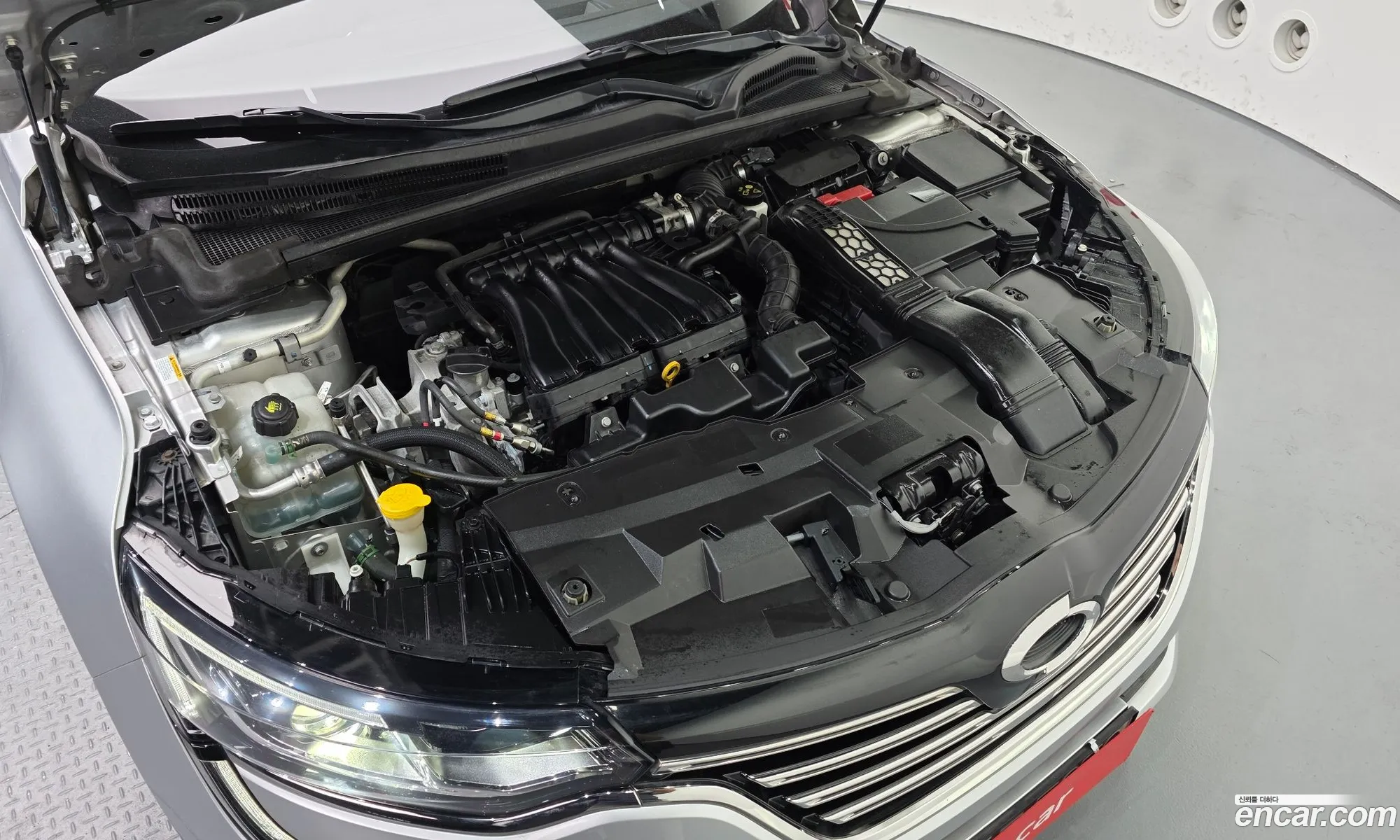 Renault Korea (Samsung) SM6 2017 — 19