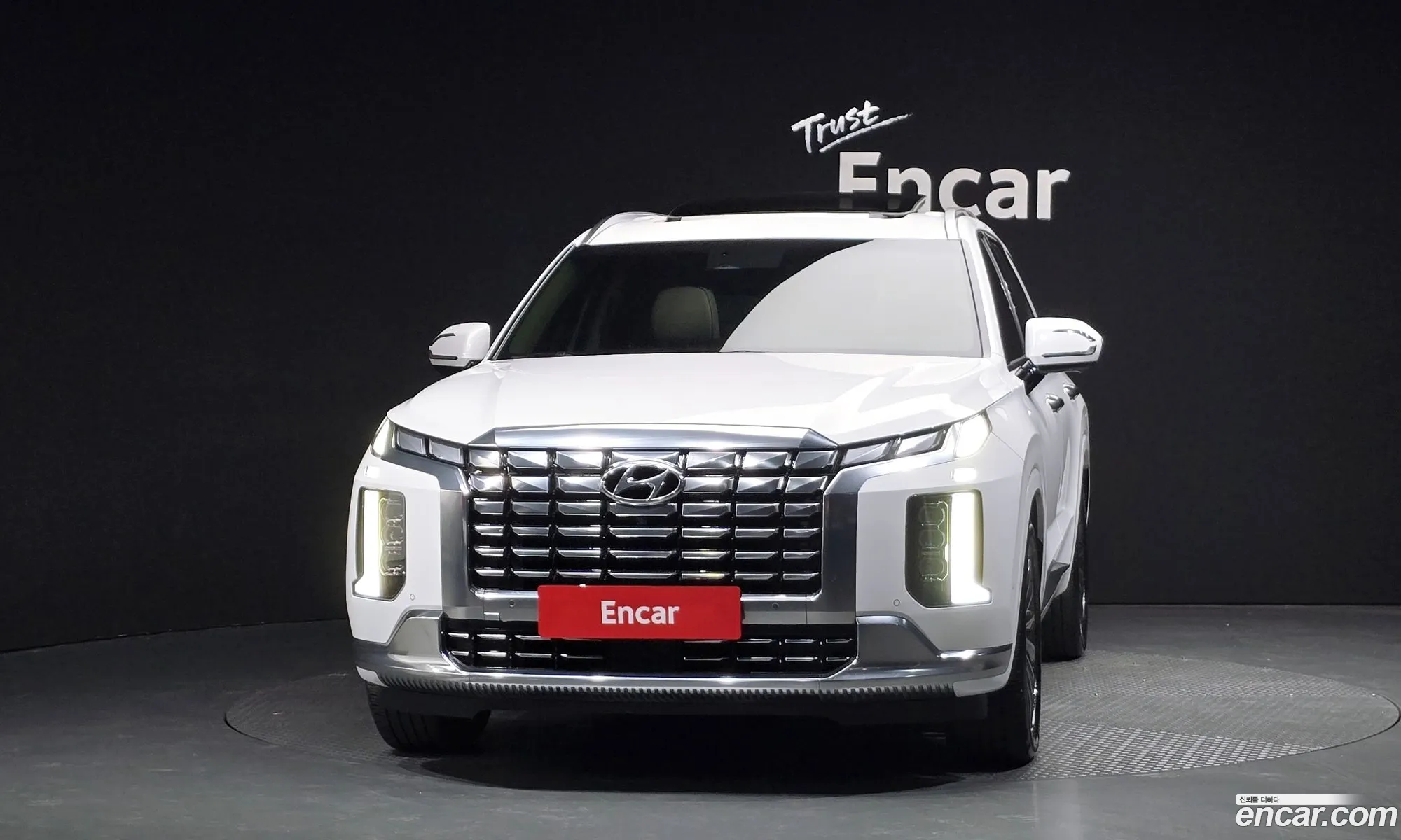 Hyundai Palisade 2023 — 17