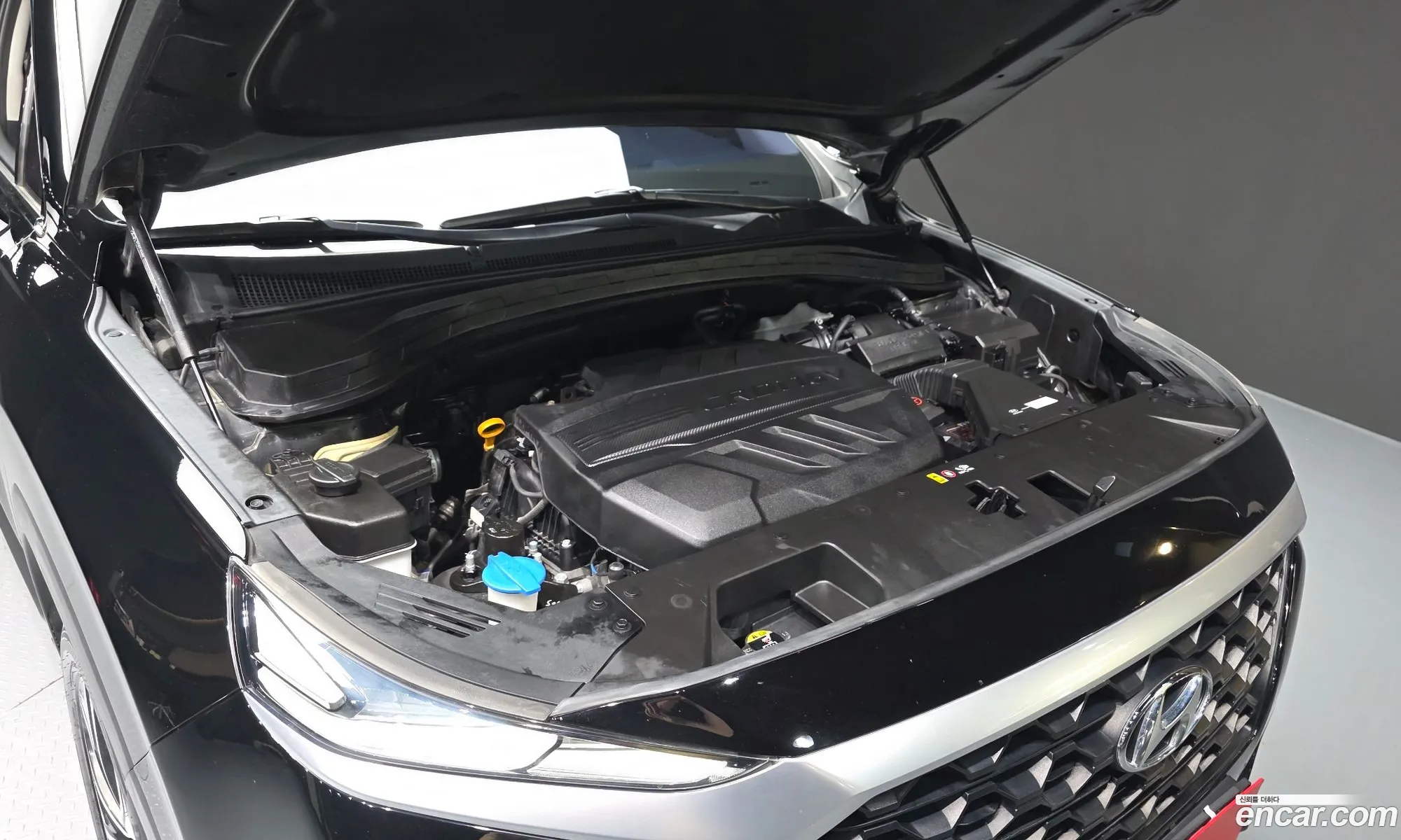 Hyundai Santa Fe TM 2019 KMHS281BBKU146225 — 8